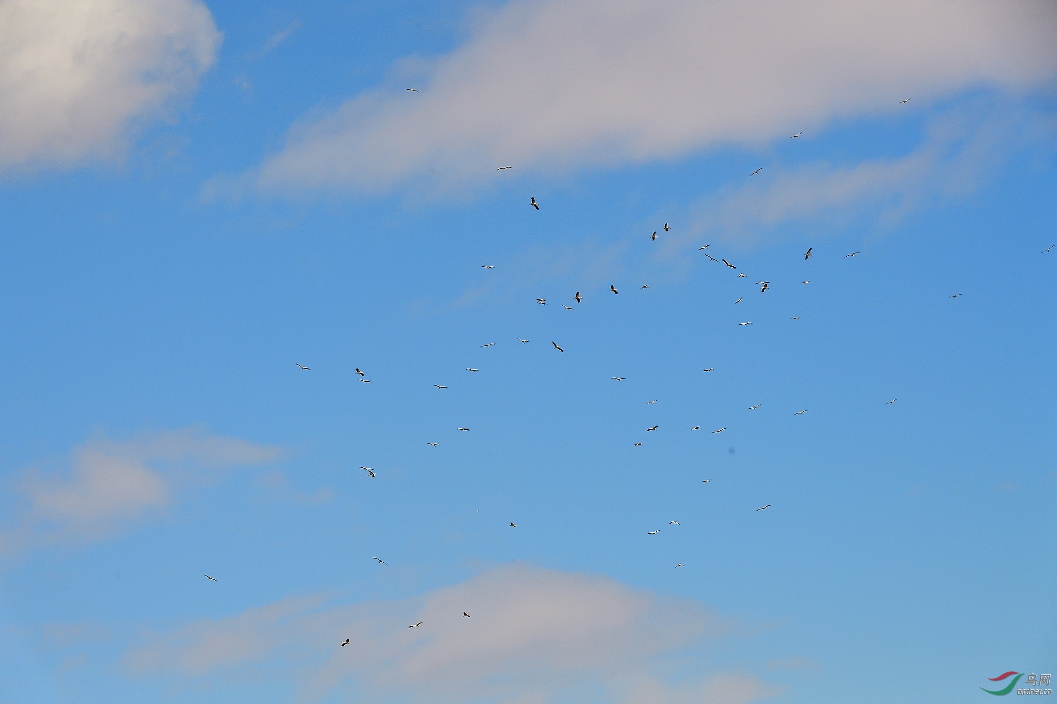 DSC_4832.jpg