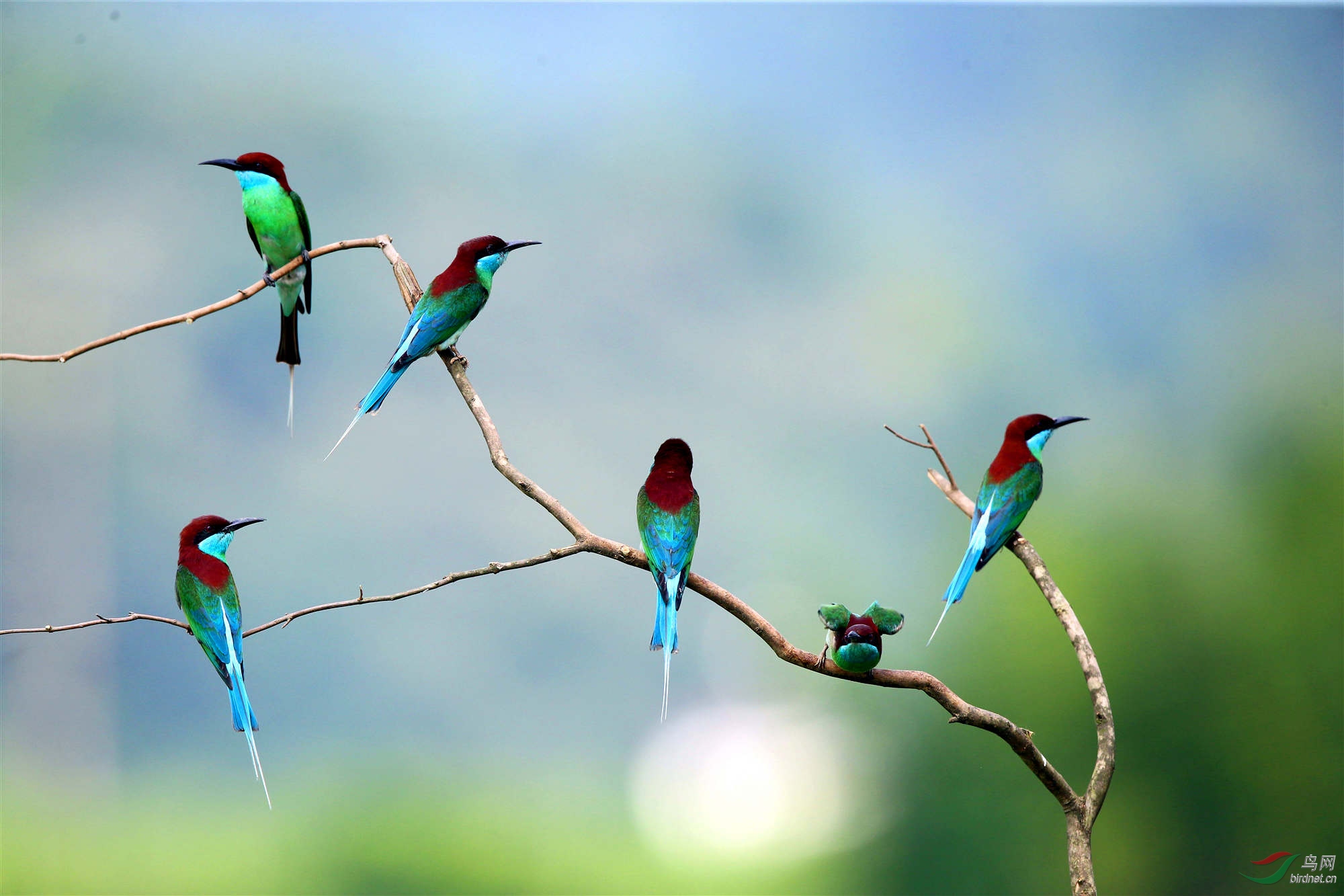 H46R6462_����_���� (2).jpg