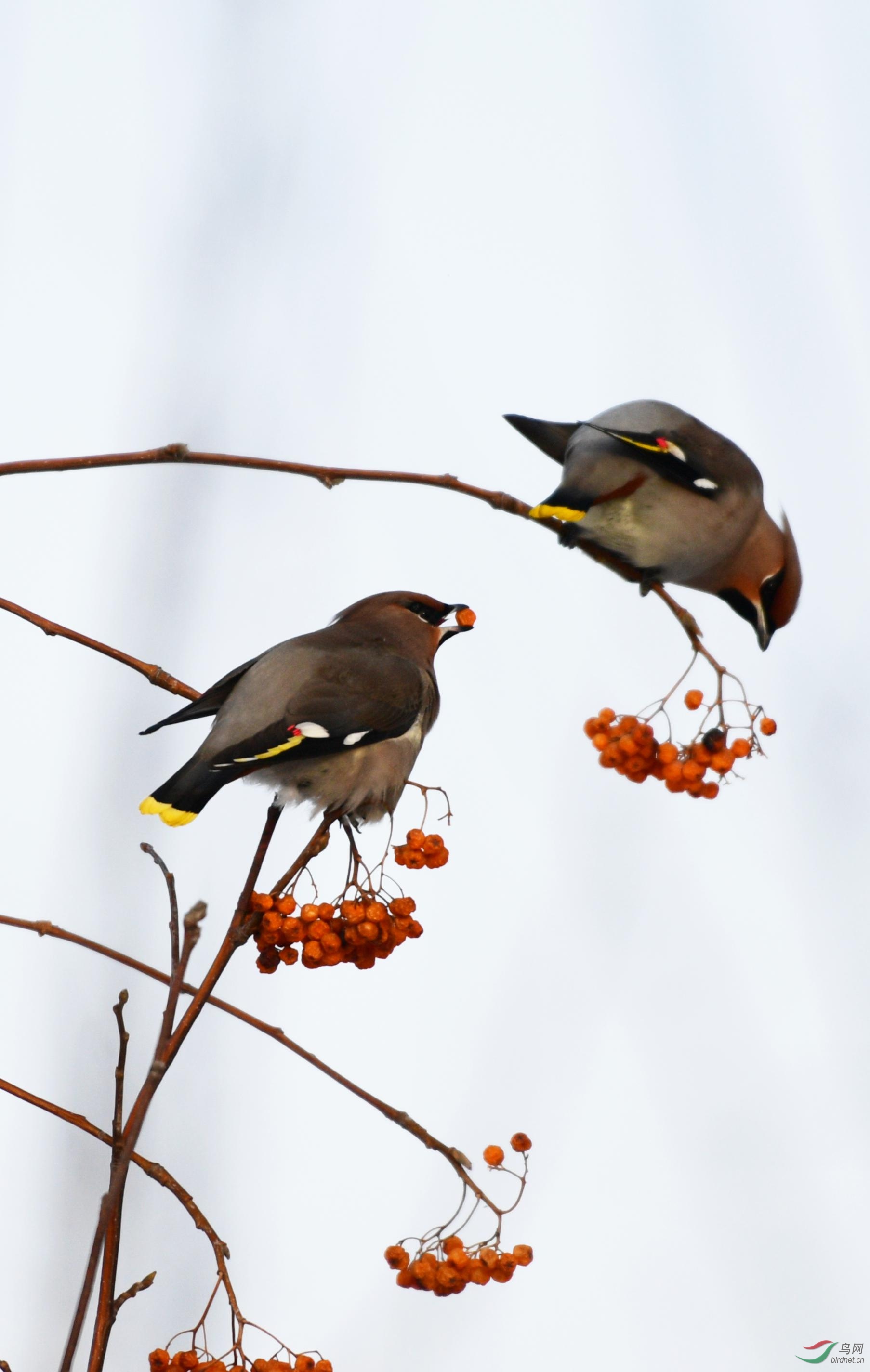 DSC_8056_���� (2).jpg