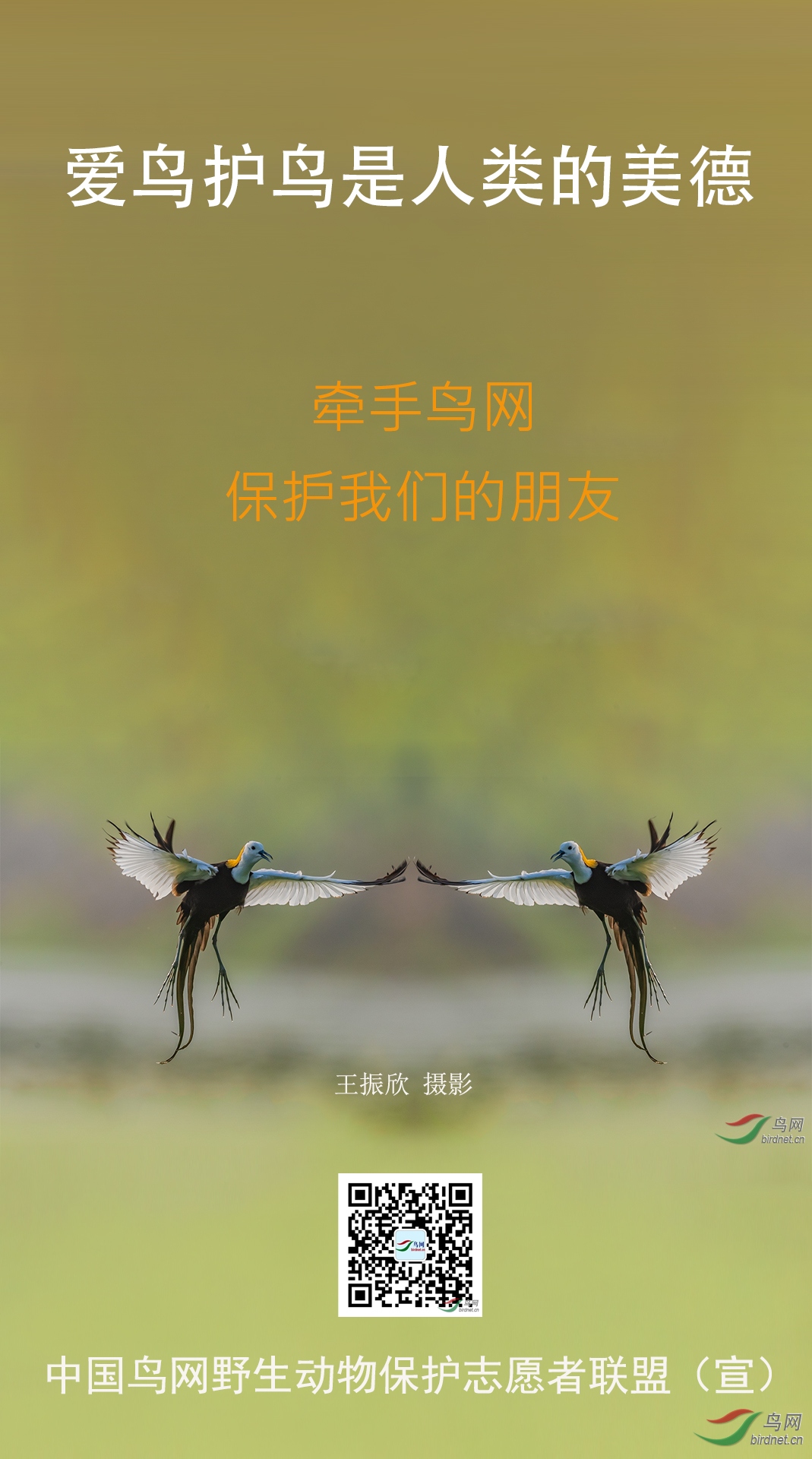 Ұ�����ﱣ���������� ���ߣ���Ȼ�ķ�.jpg