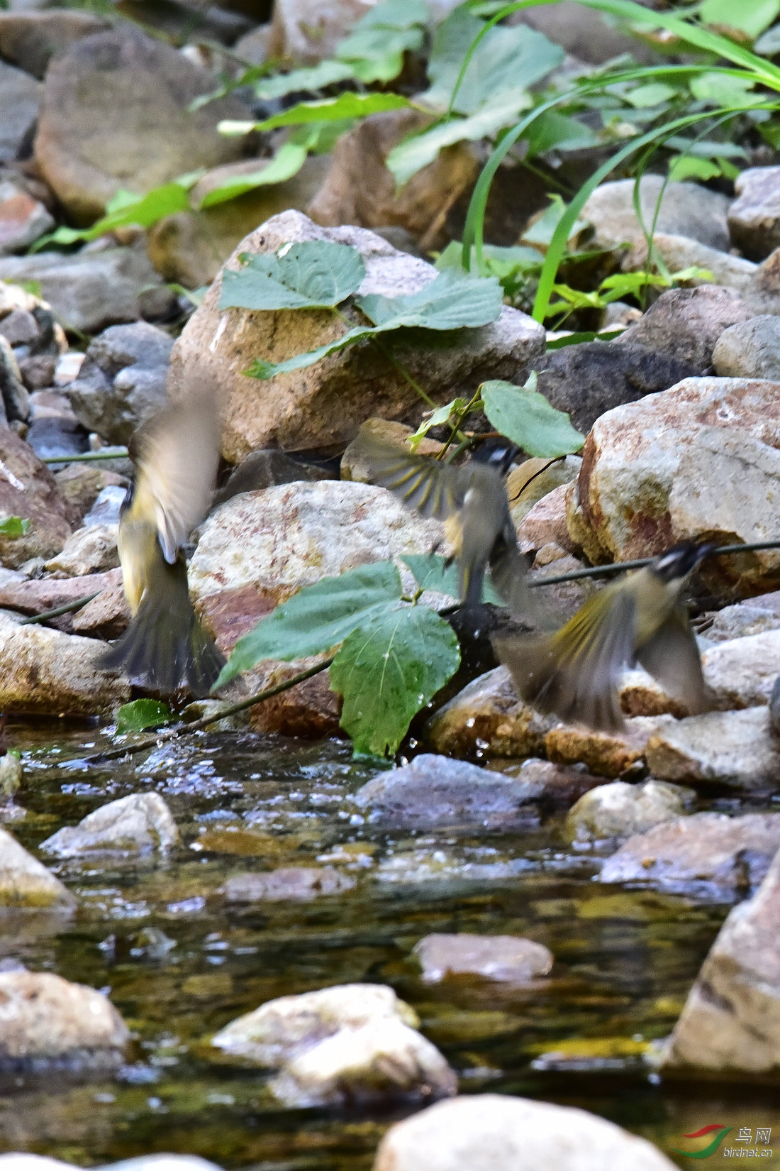 DSC_0003.JPG