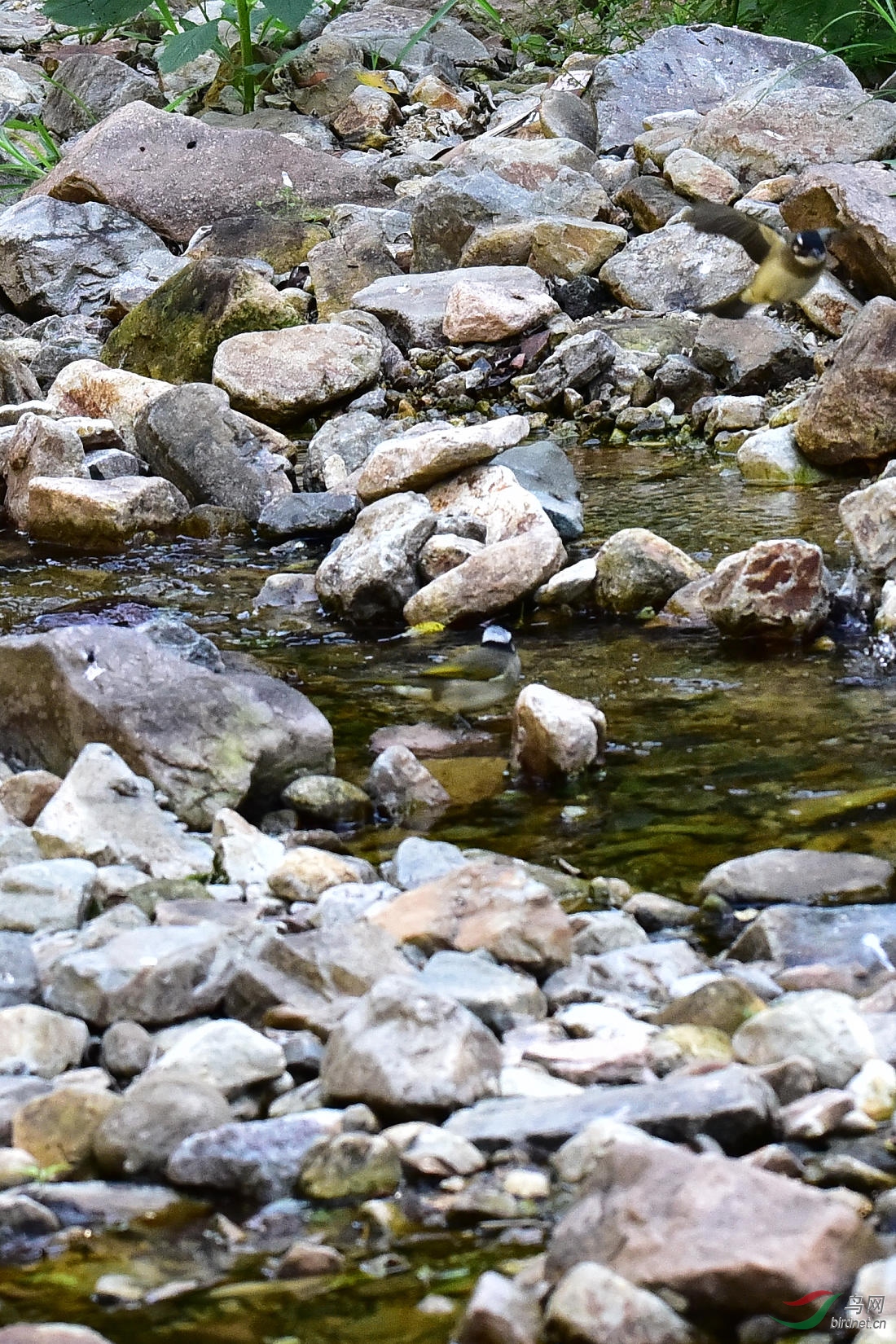 DSC_0011.JPG