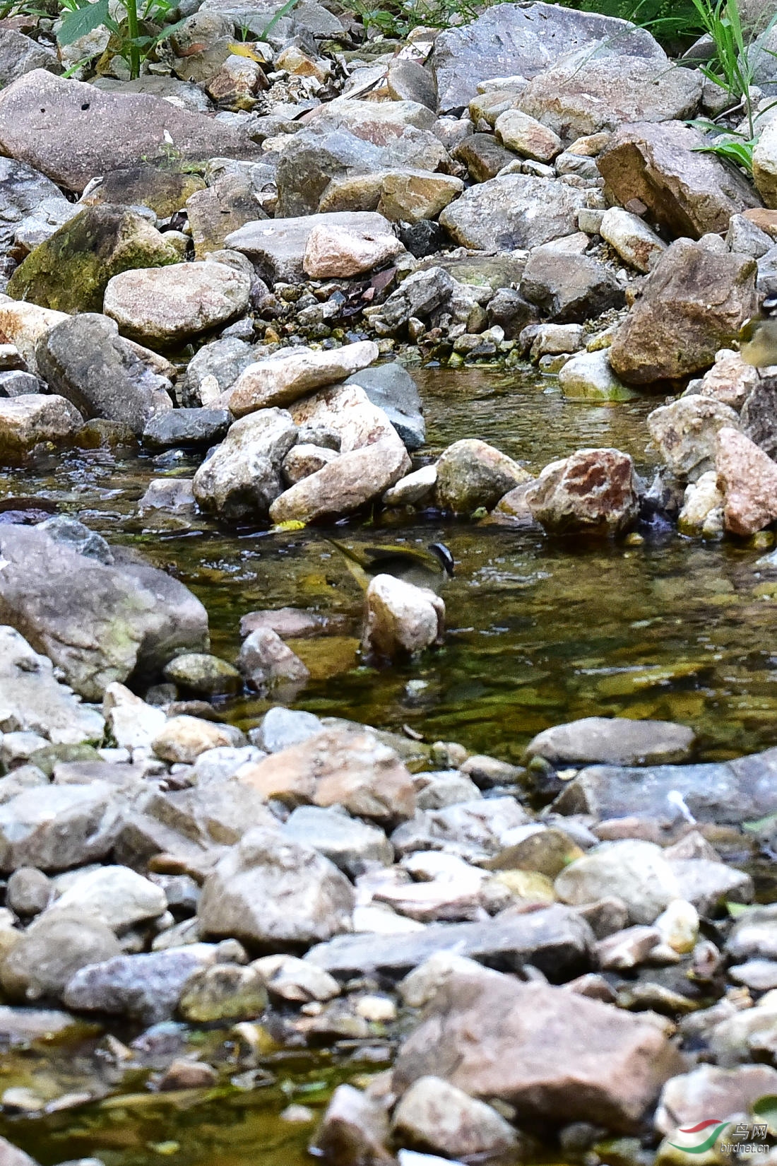 DSC_0012.JPG