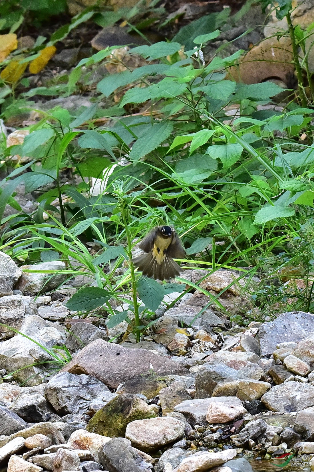 DSC_0013.JPG
