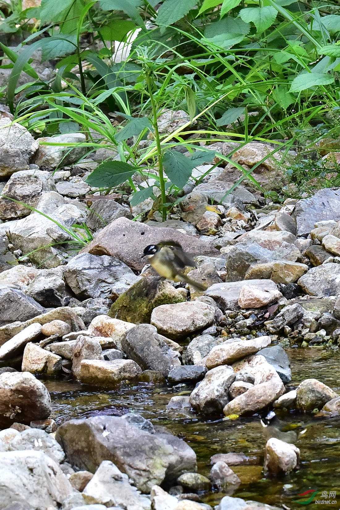 DSC_0015.JPG