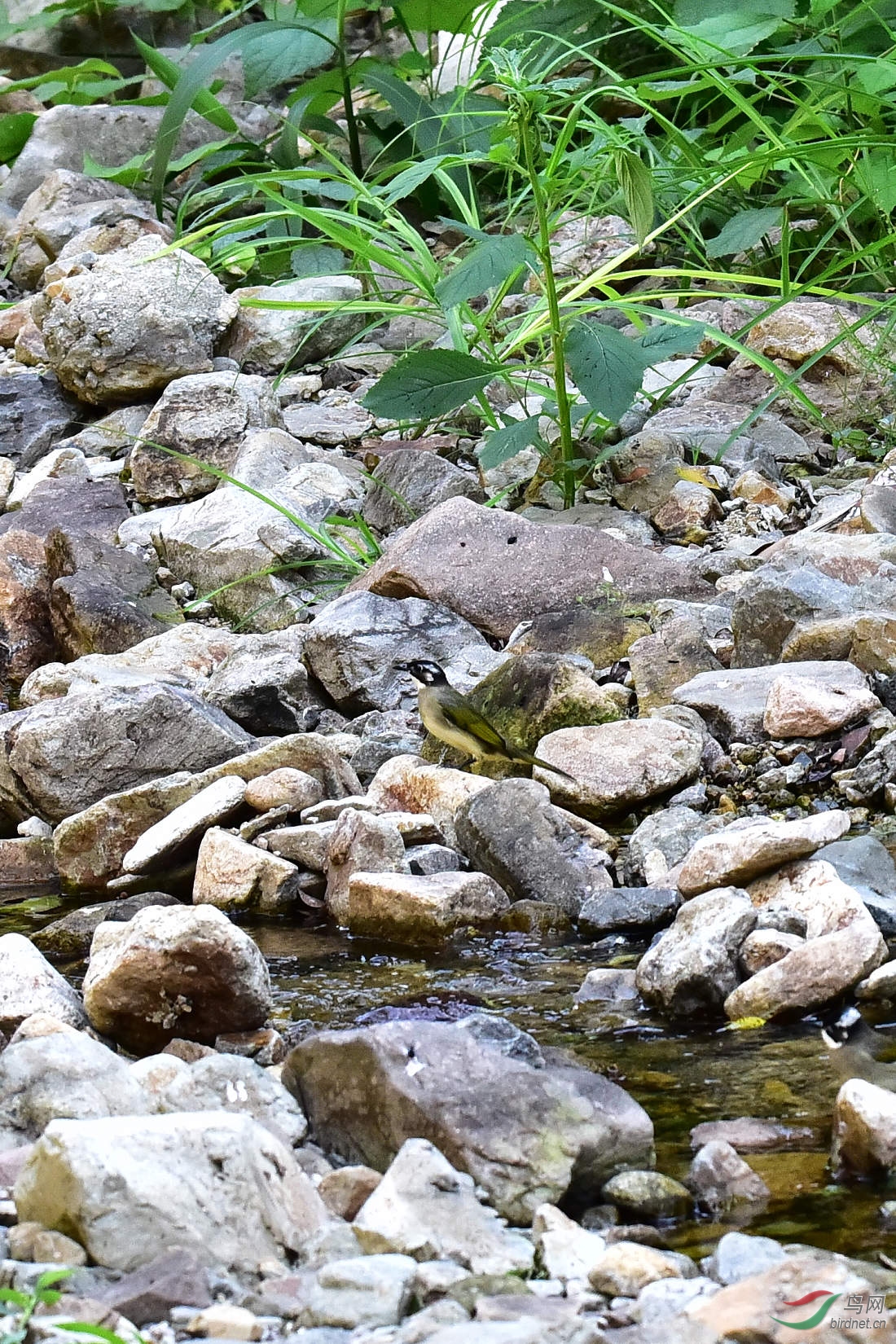 DSC_0016.JPG