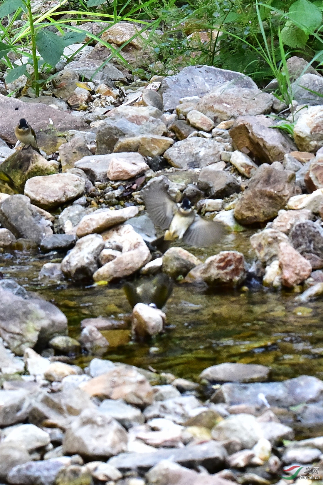 DSC_0018.JPG