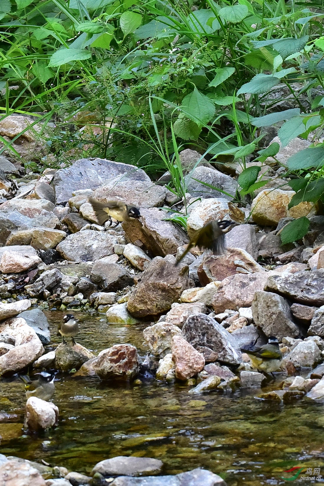 DSC_0020.JPG