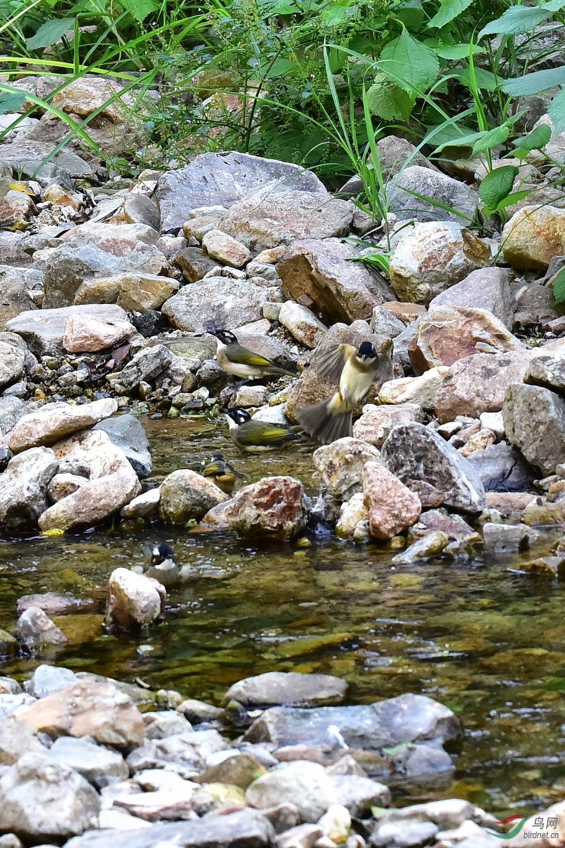 DSC_0030.JPG