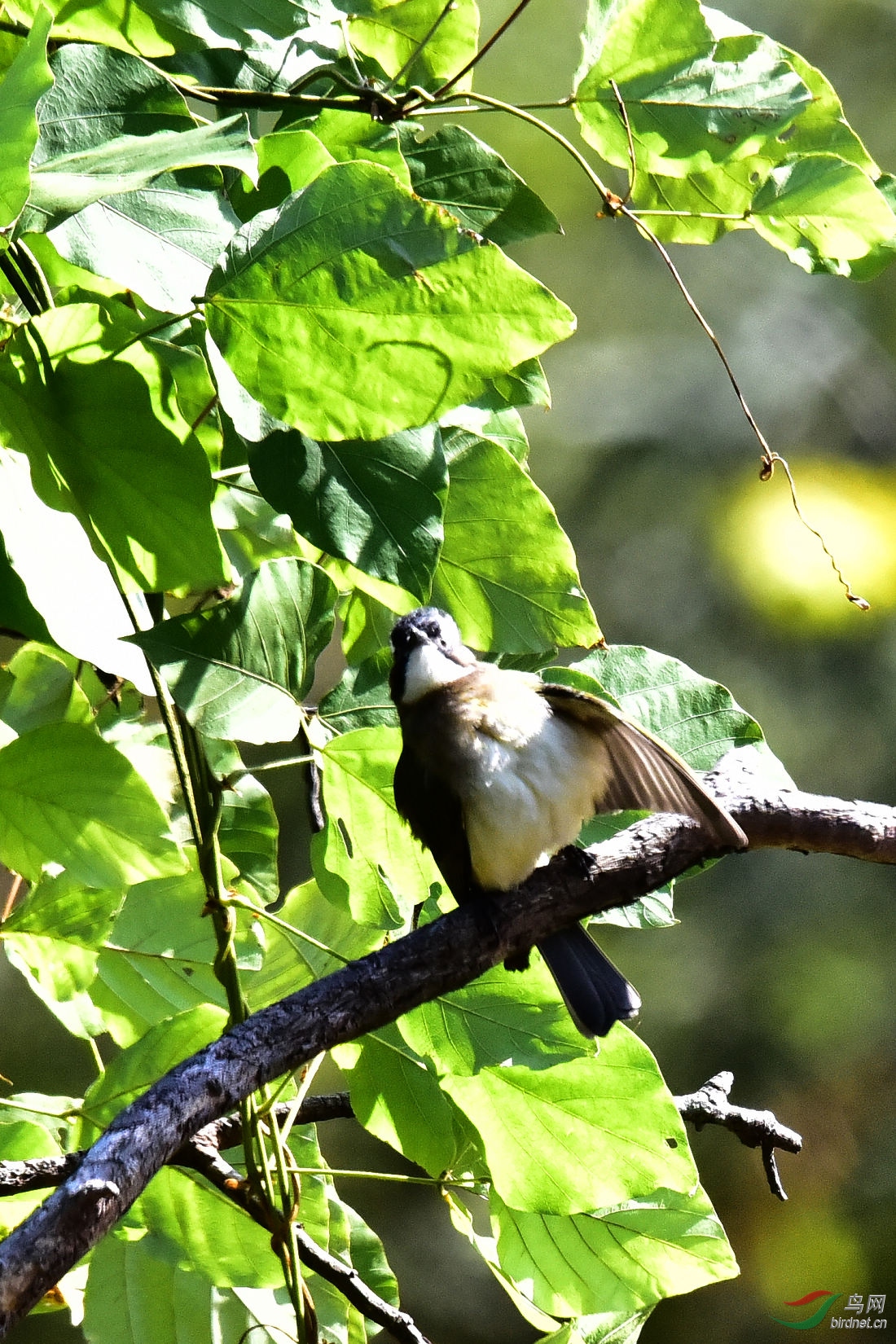 DSC_0111.JPG