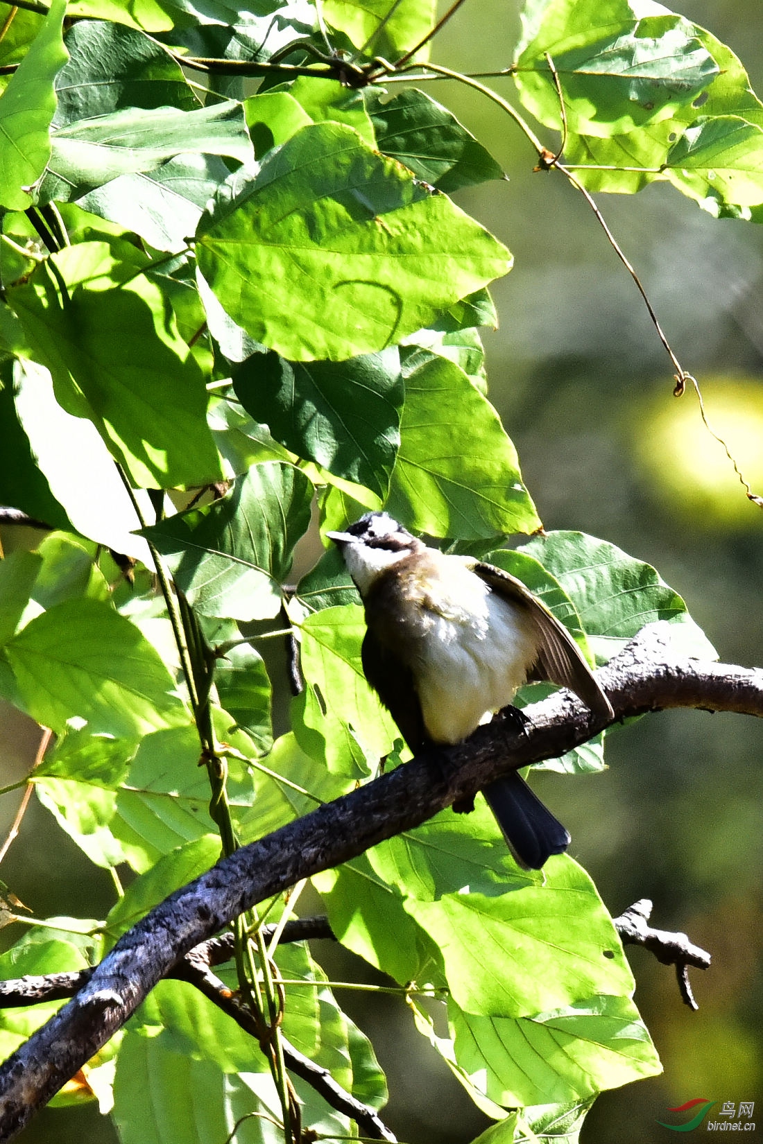 DSC_0112.JPG