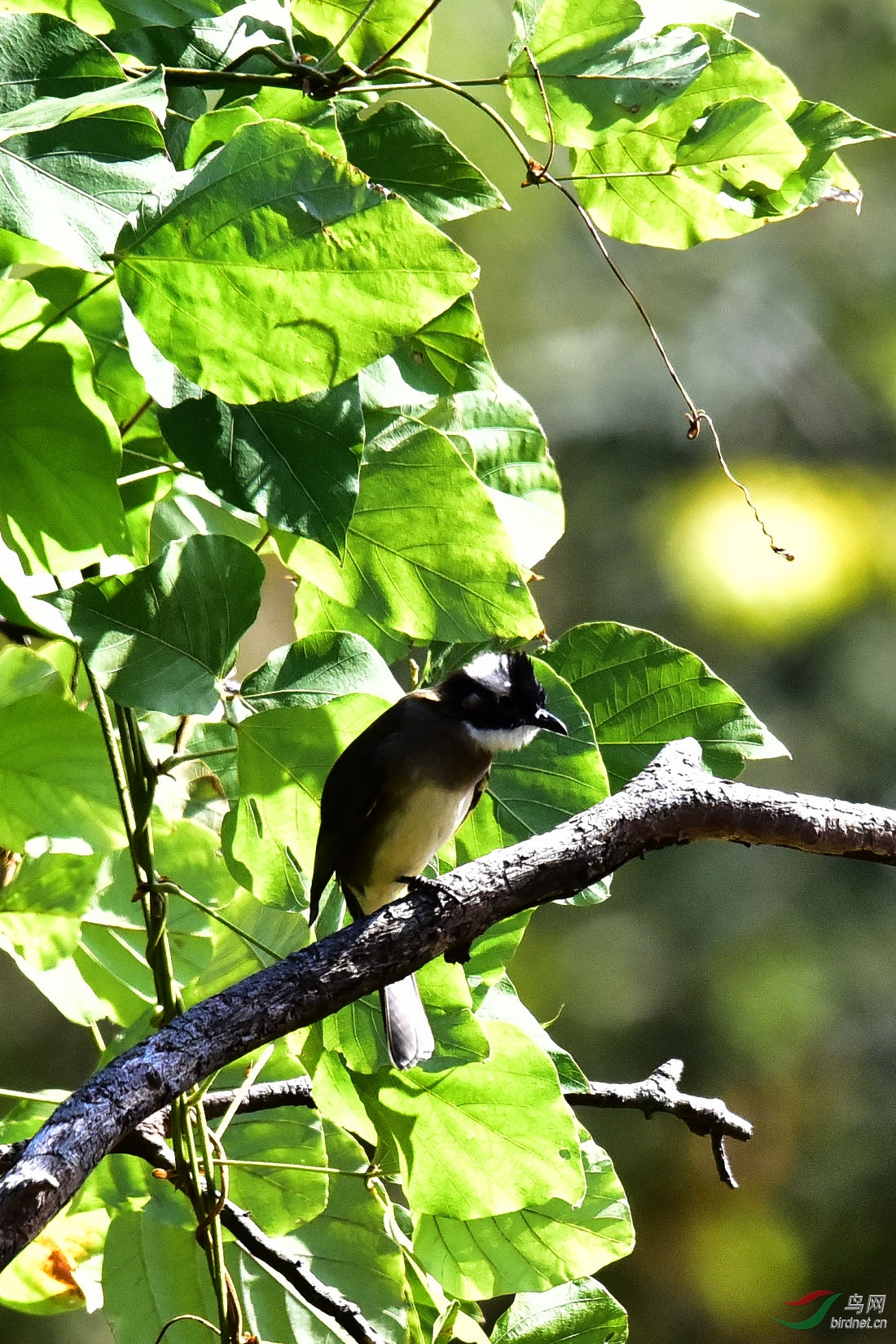 DSC_0114.JPG