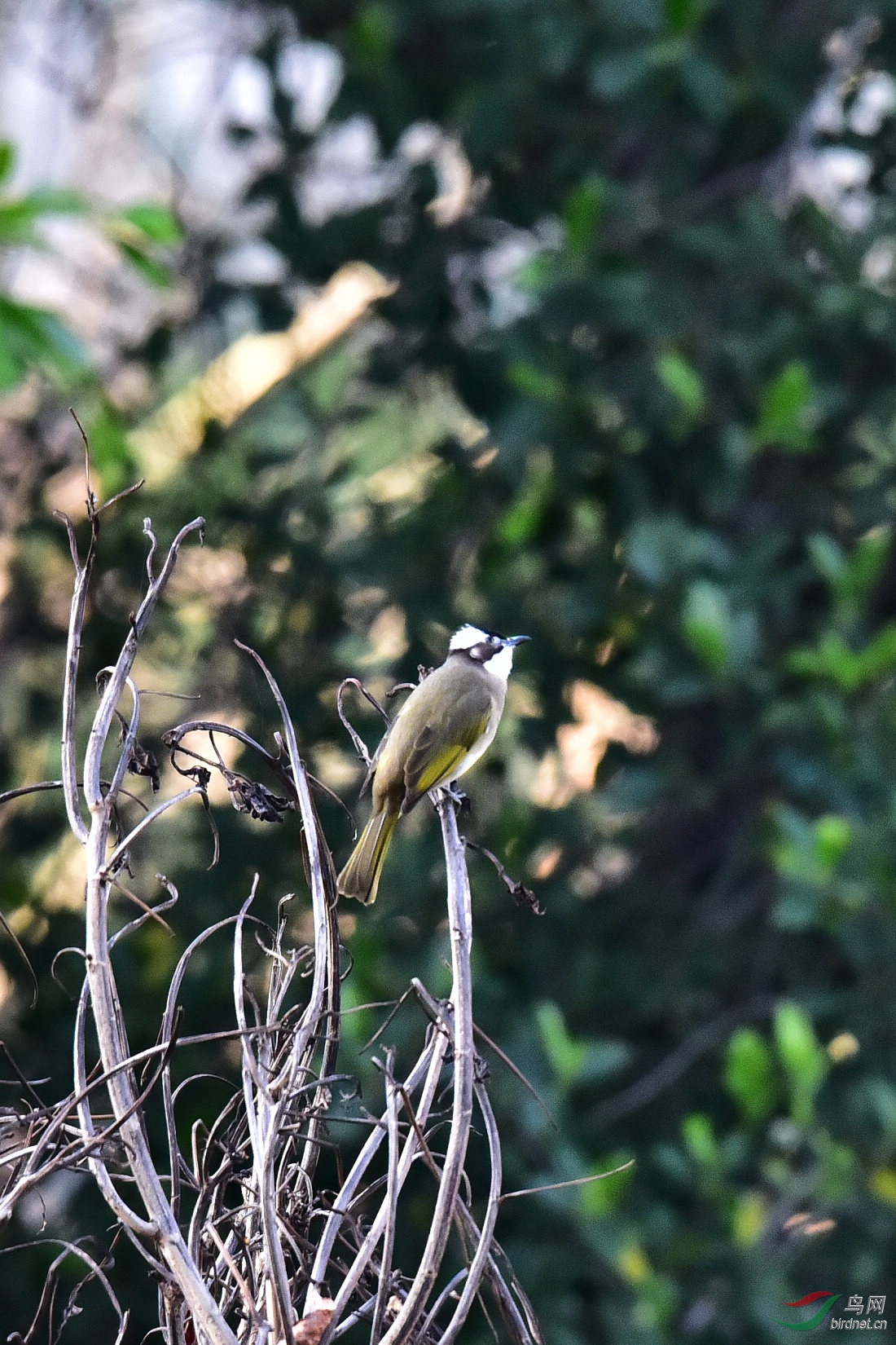 DSC_0117.JPG