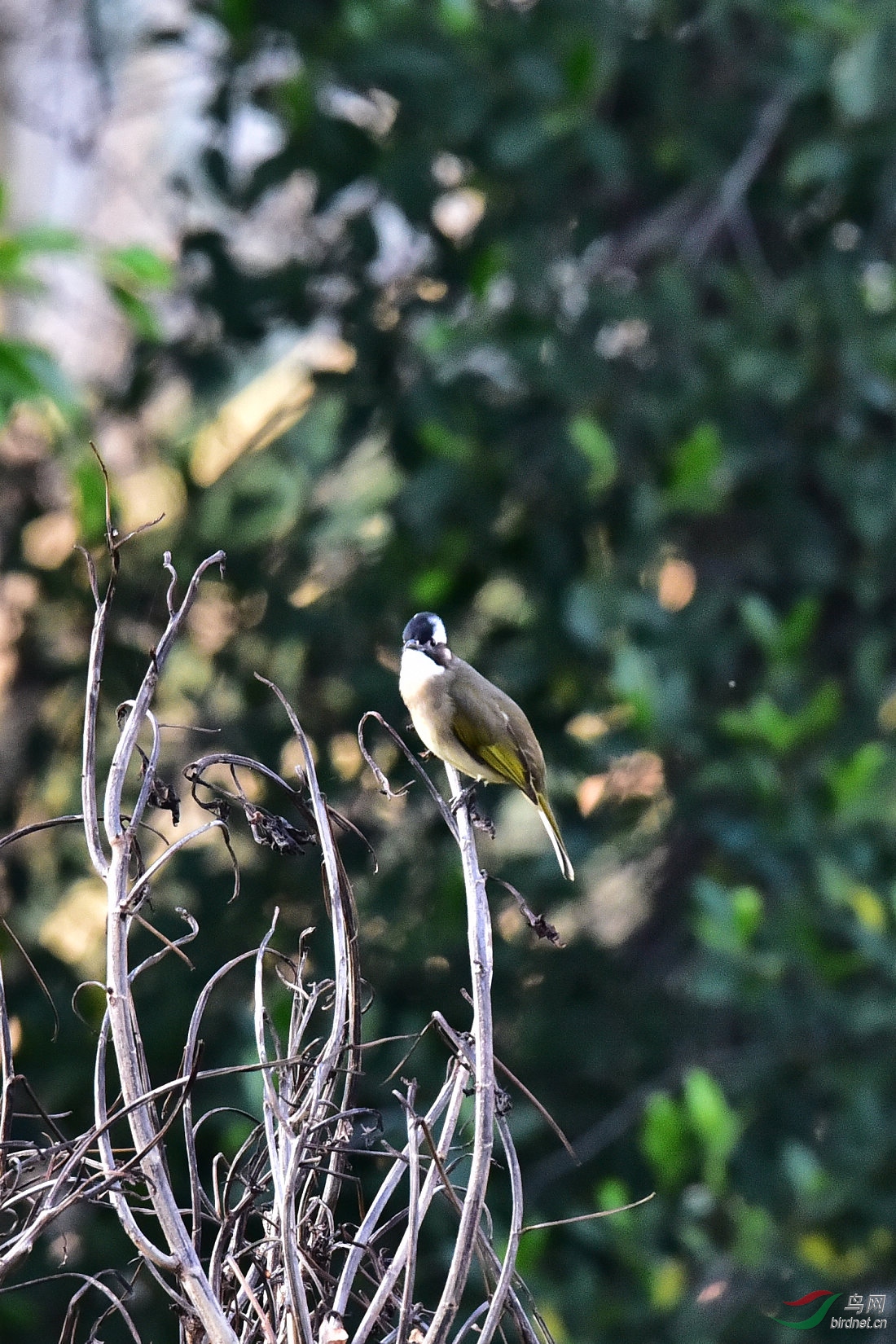 DSC_0119.JPG