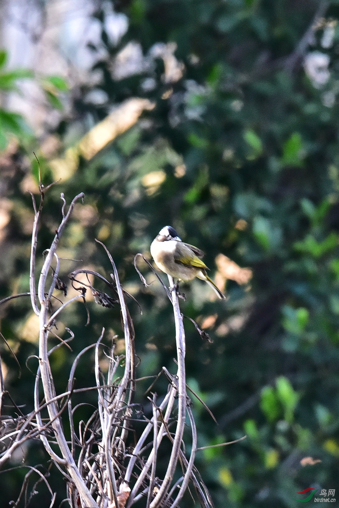 DSC_0120.JPG