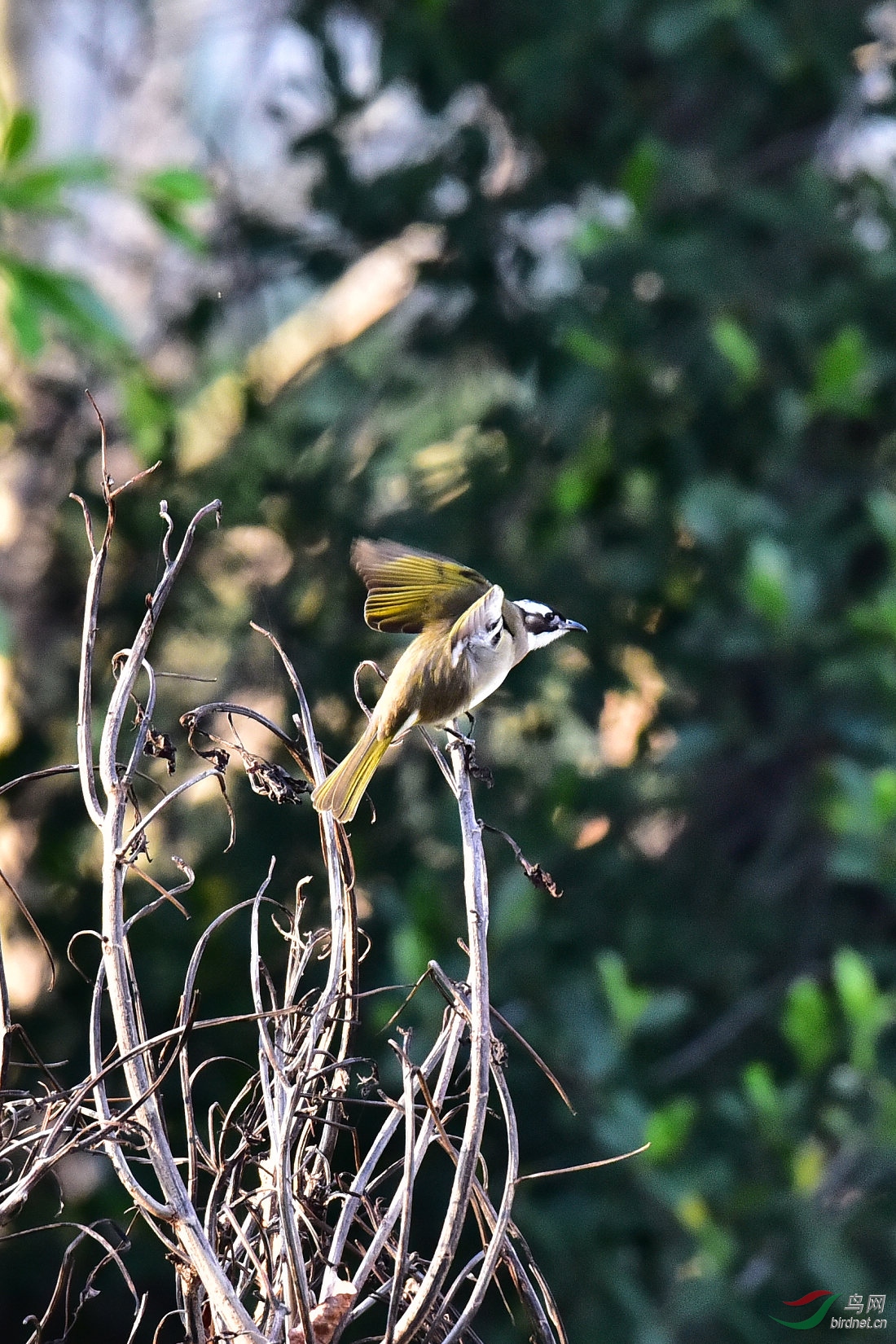 DSC_0138.JPG