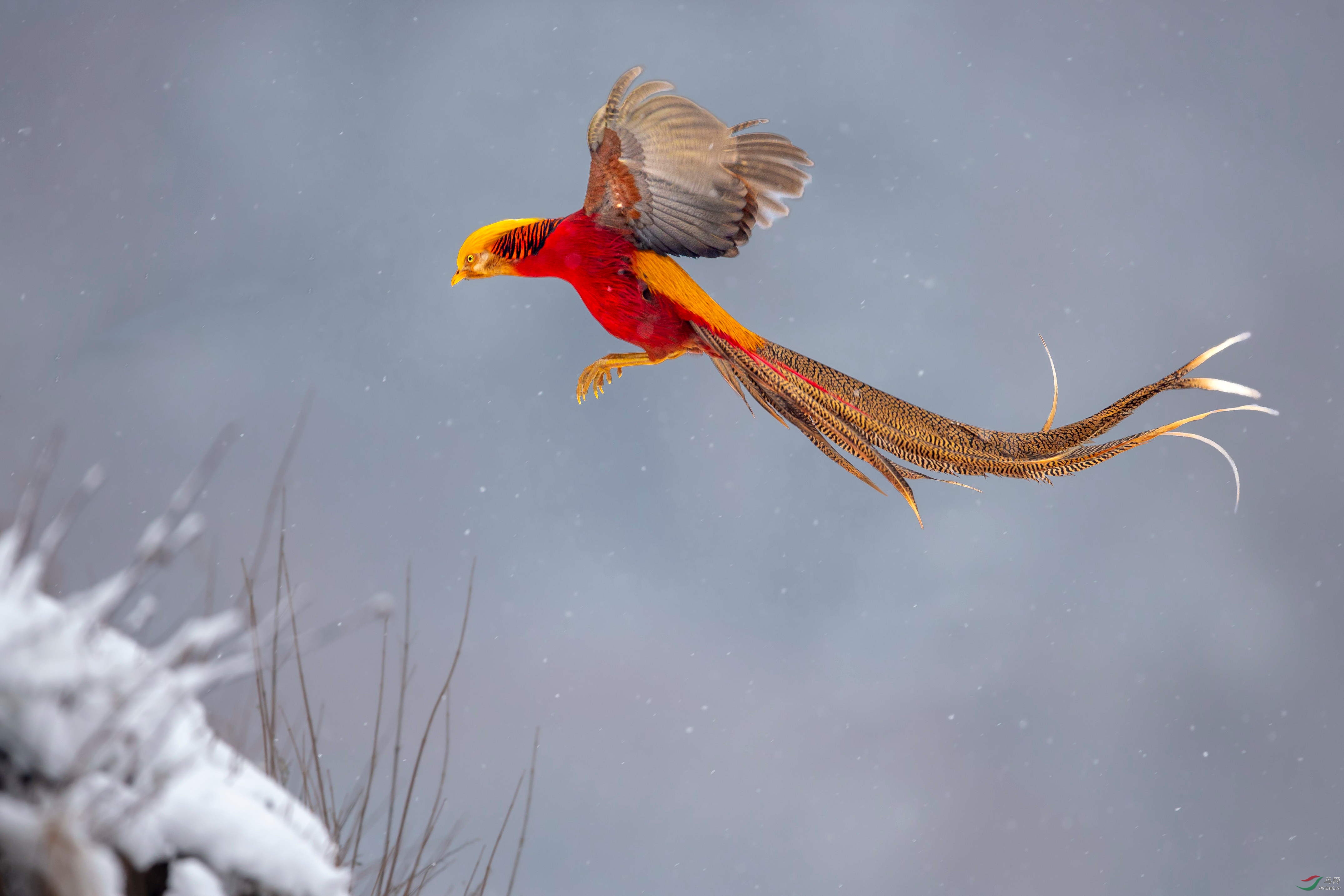 �������Ȫͷ�� (2).JPG