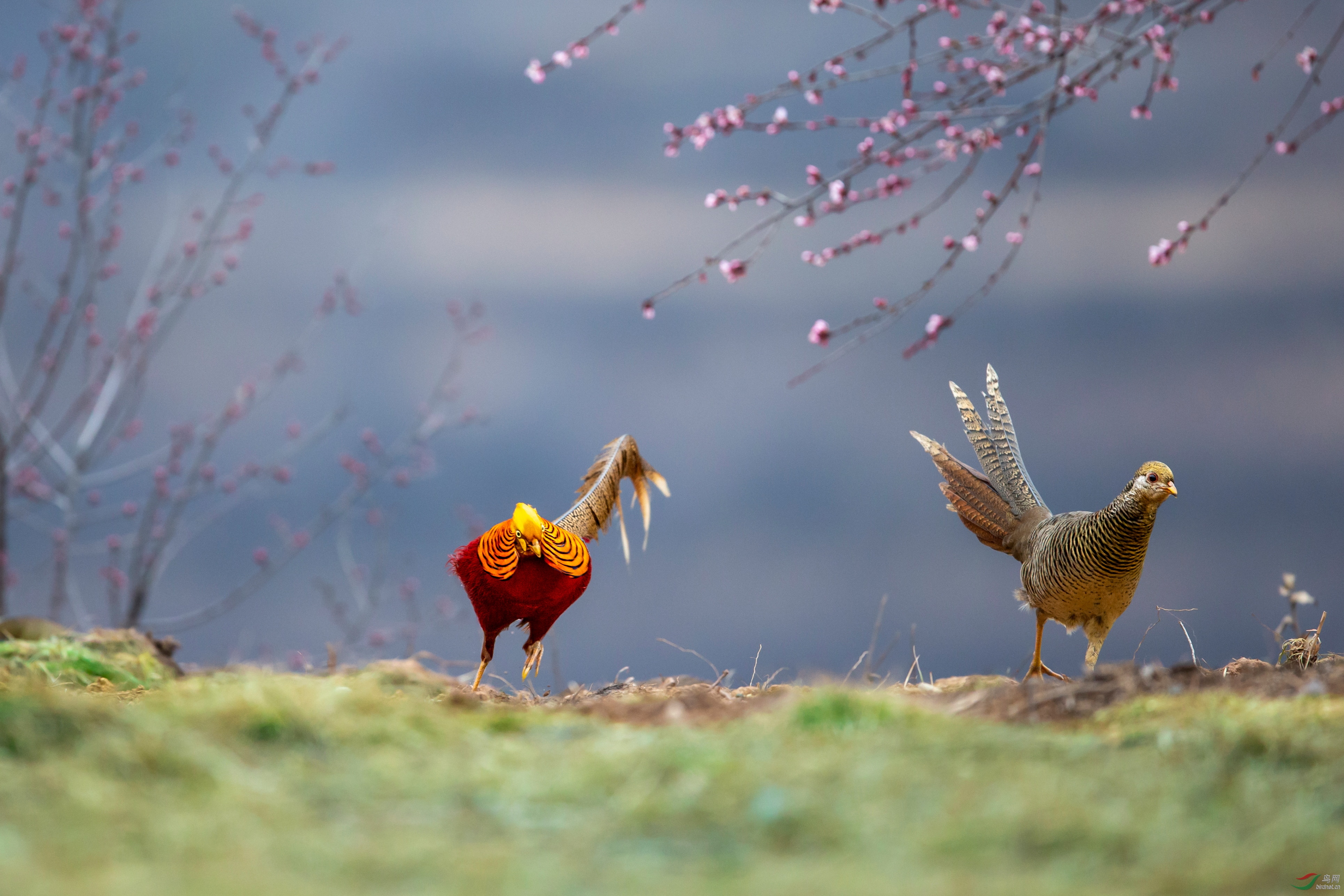 �������Ȫͷ�� (3).JPG