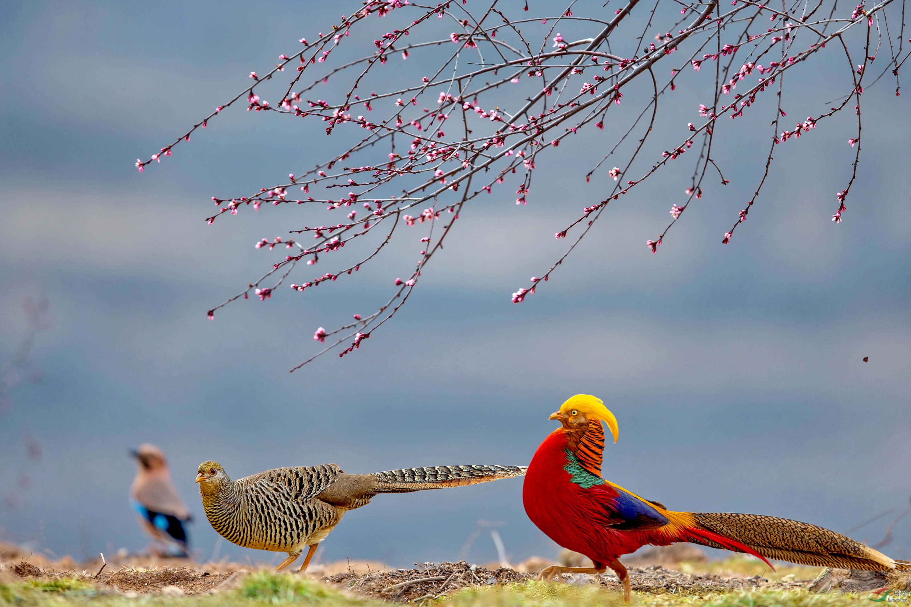 �������Ȫͷ�� (4).JPG