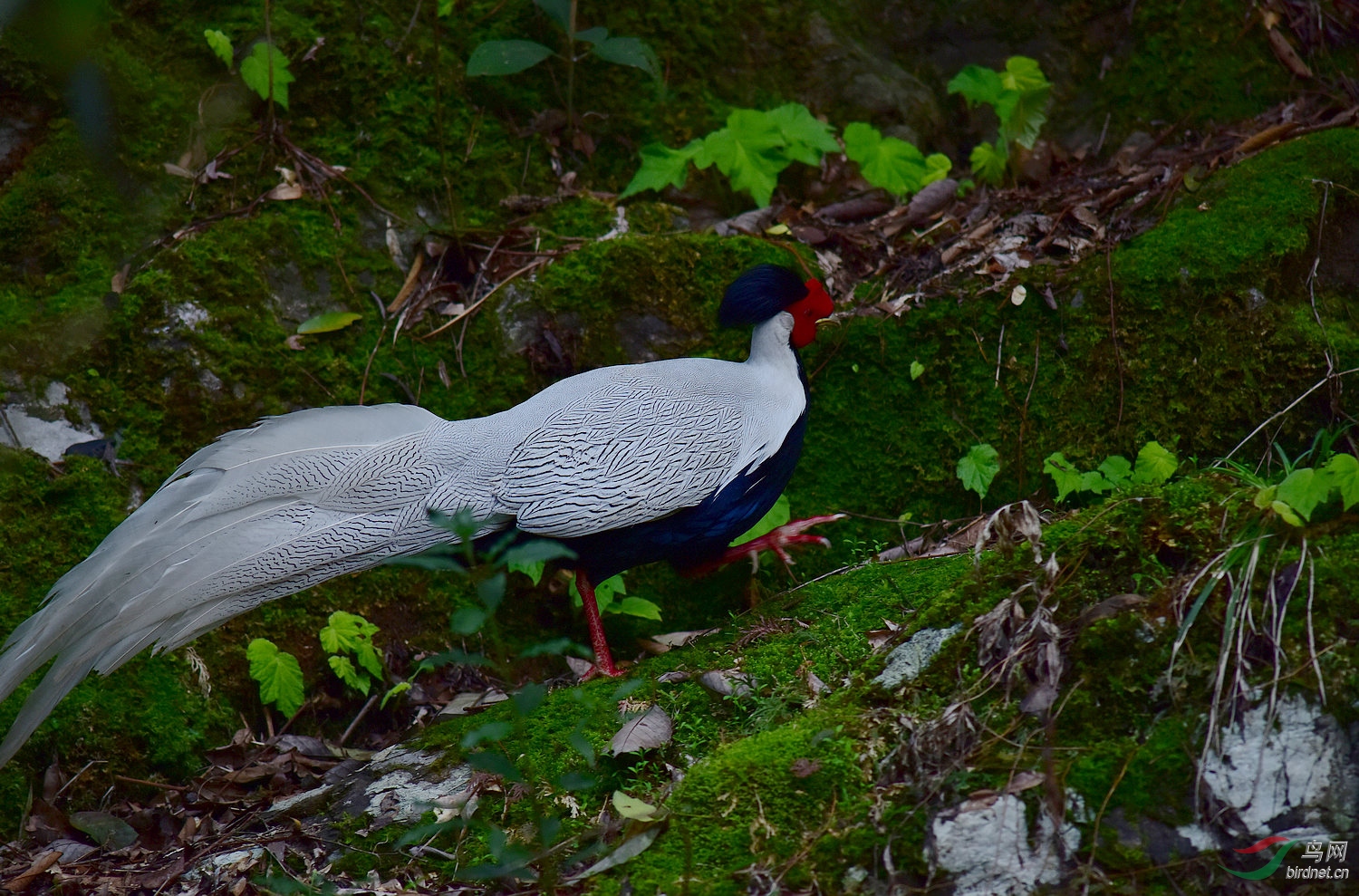 D8I_3034.jpg