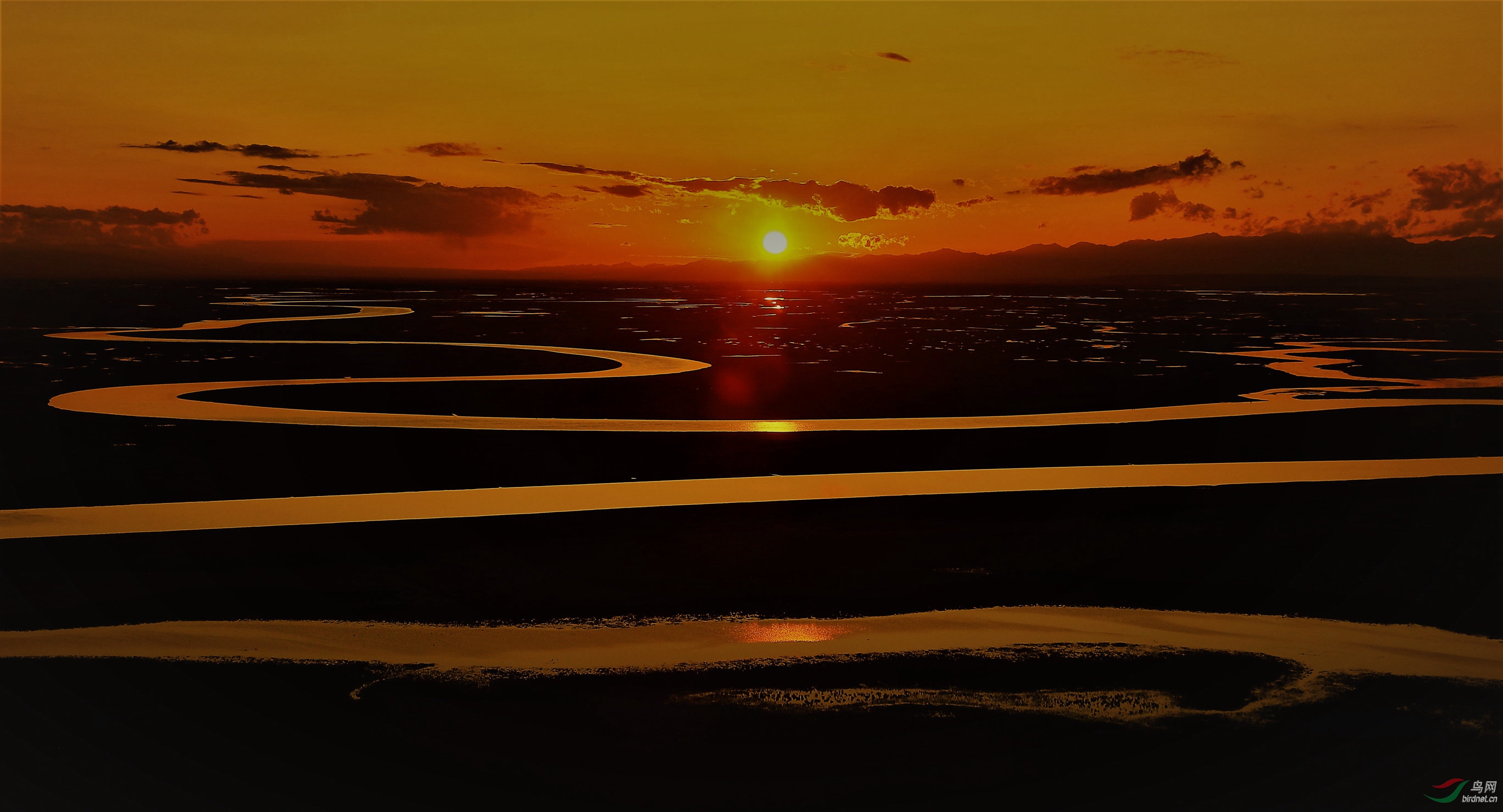 祝贵版蒸蒸日上,红红火火!向贵版老师,鸟友们问好!