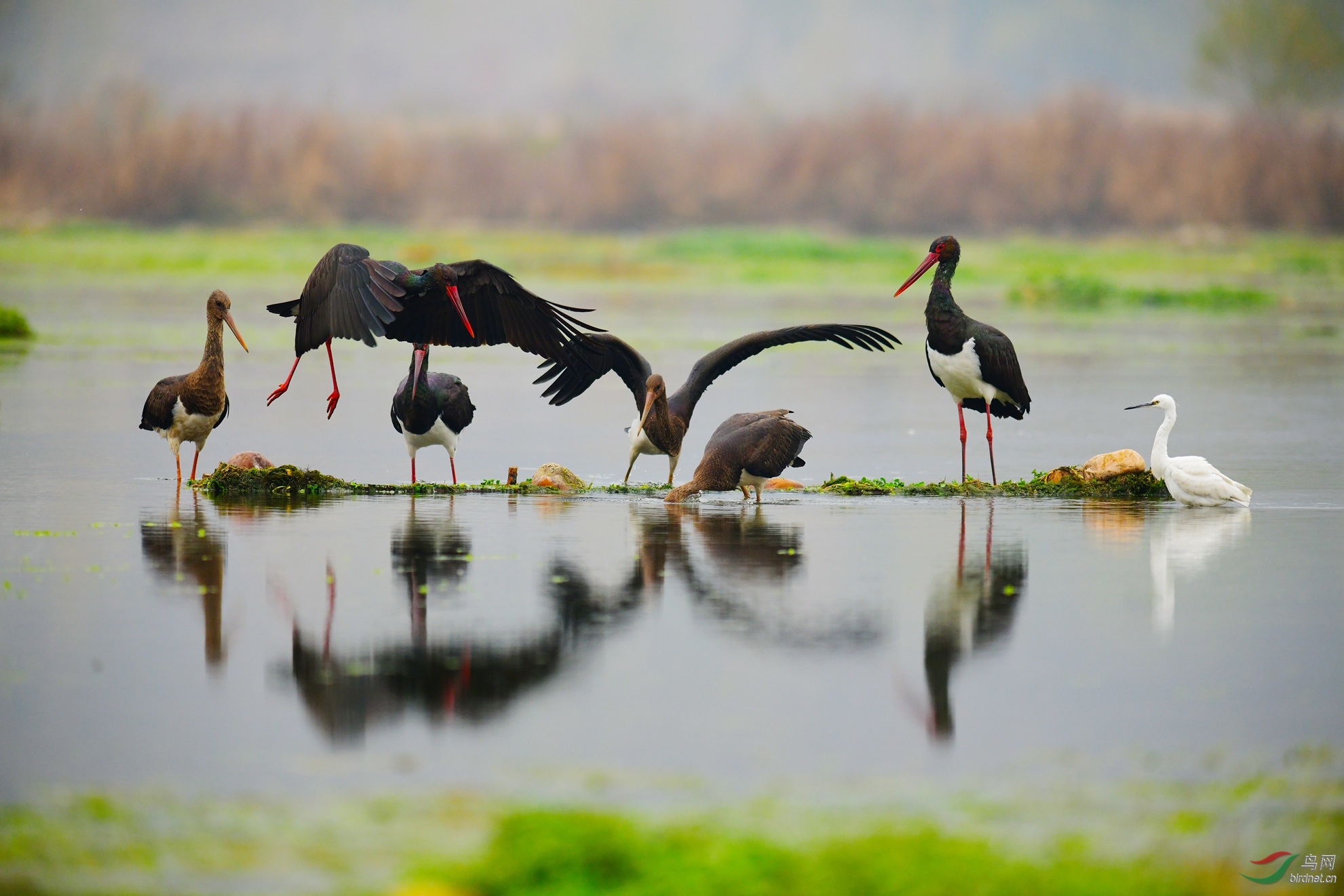 DSC_6843.JPG
