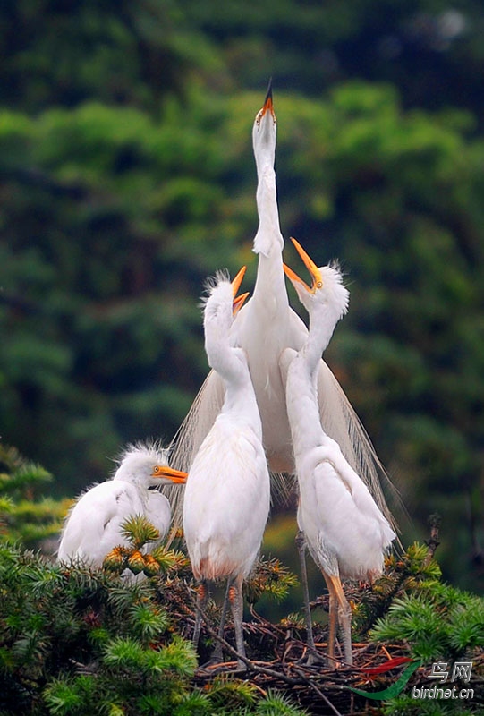 2���߰������衷���ߣ����� ��Ծ.jpg