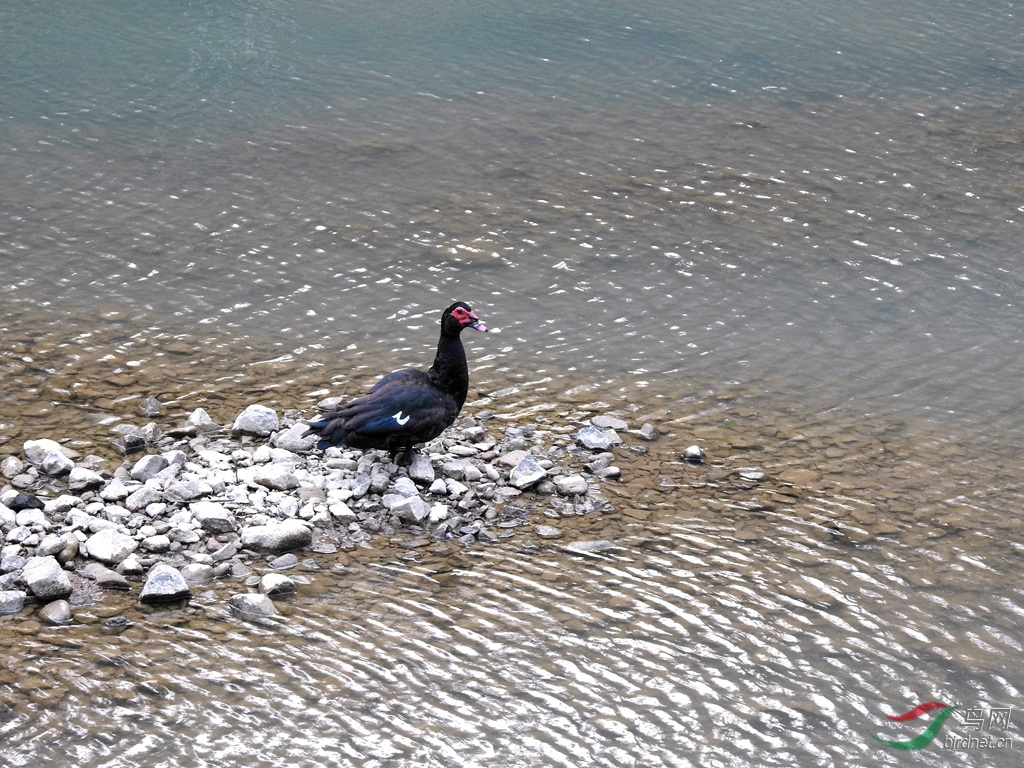 DSCN1919.JPG.jpg