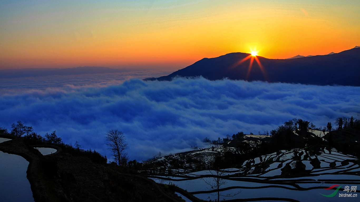 元阳梯田日出祝贺吉林鸟痴老师荣获综合首页精华