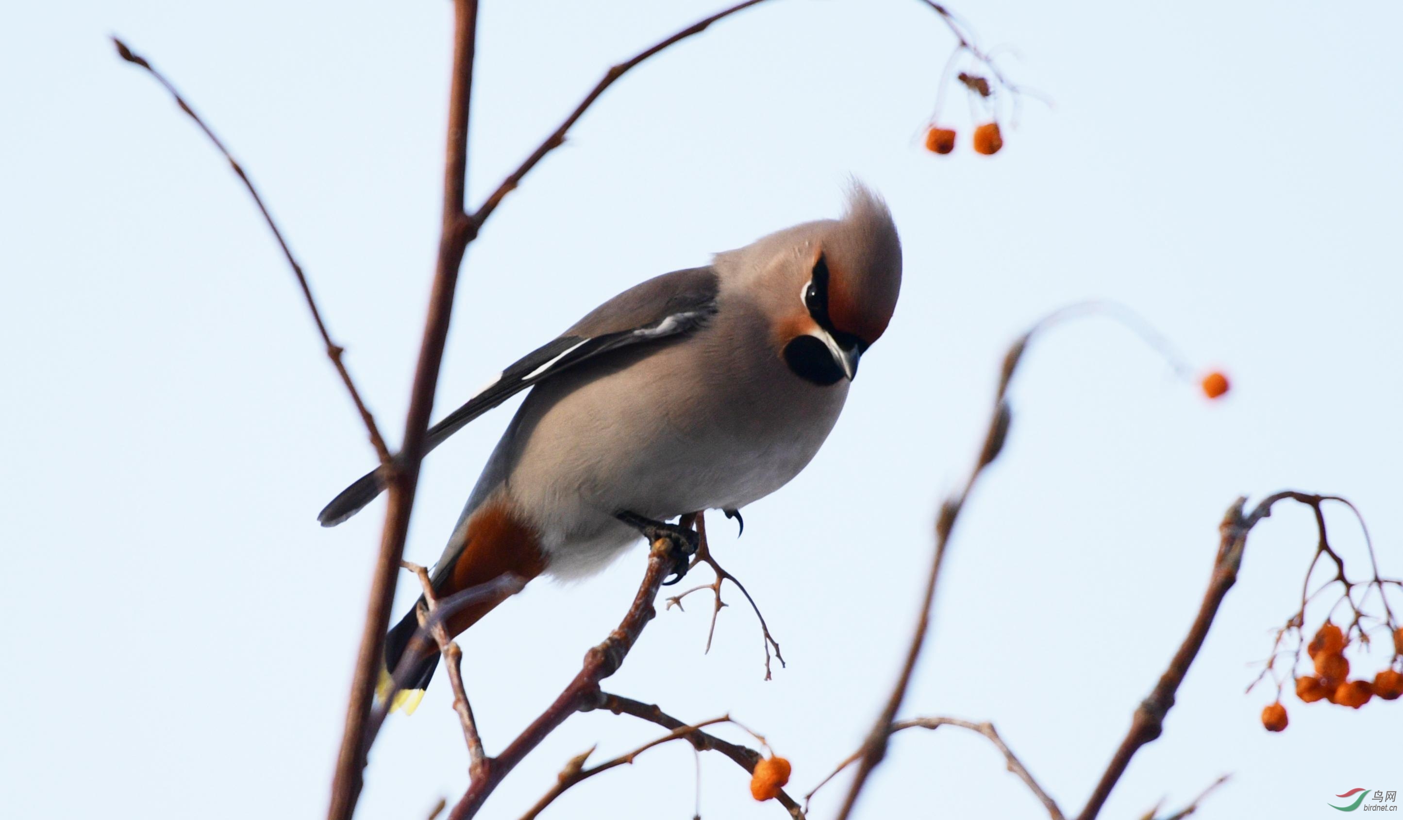 DSC_8077_���� (2).jpg