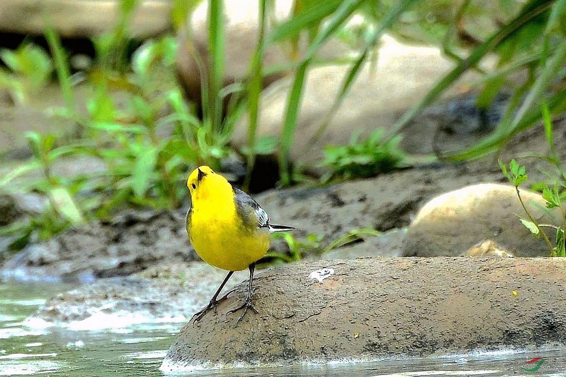 DSC_8265.JPG