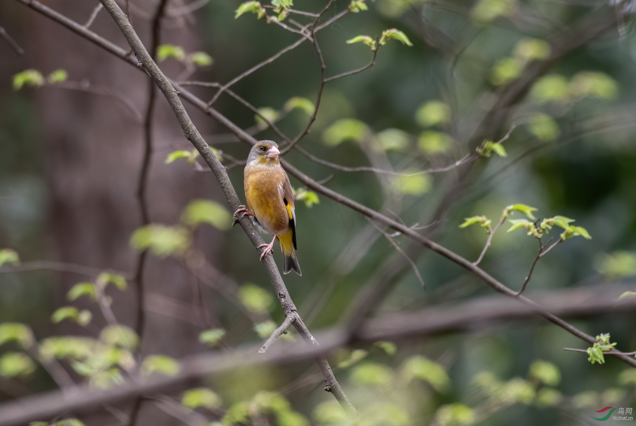 DSC_9974.jpg