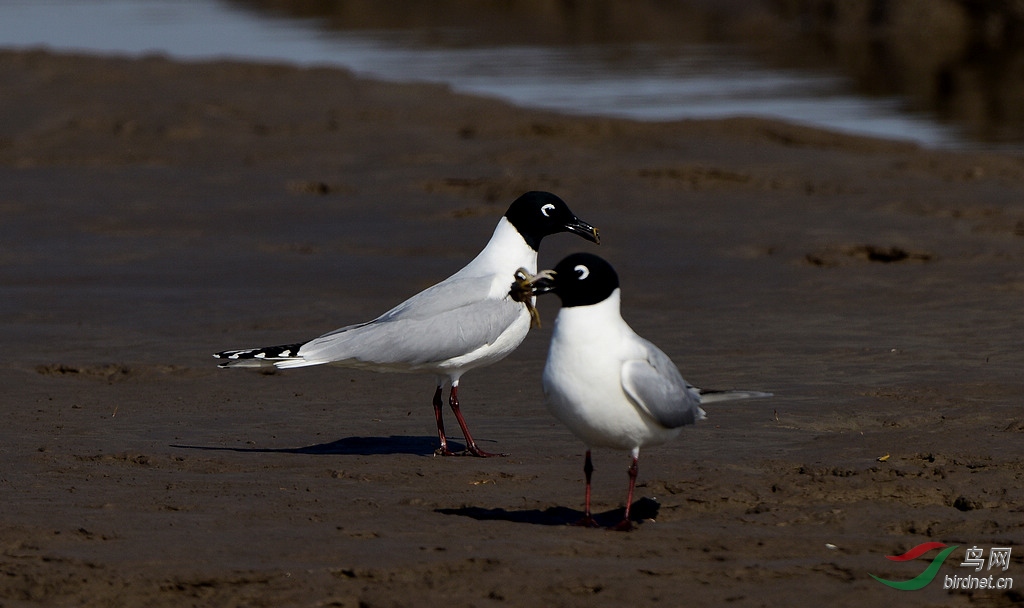 DSC_3943.jpg