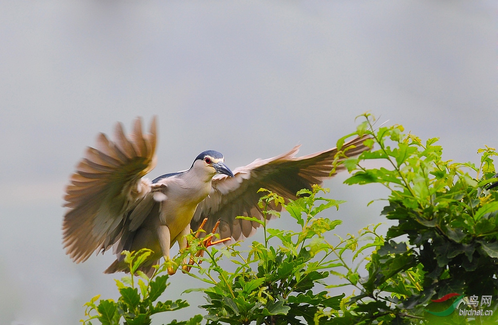 ҹ�� 1DSC_0053.jpg