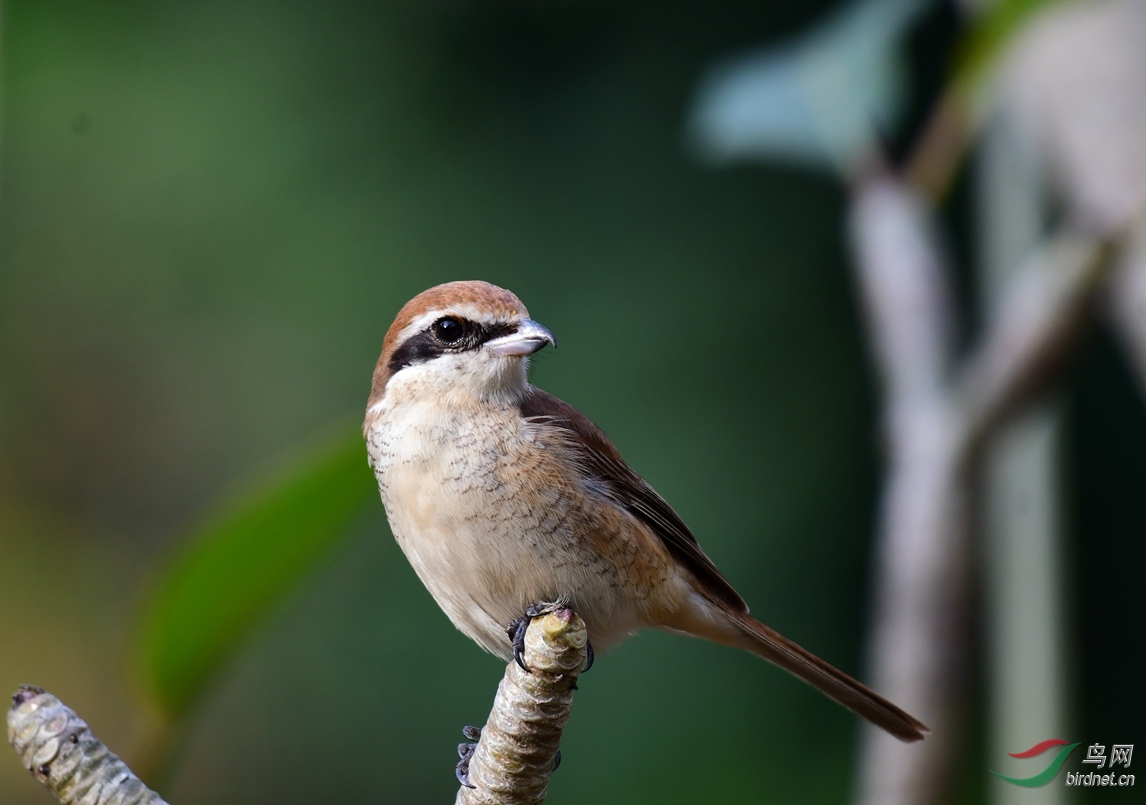 ��β���� ������.JPG