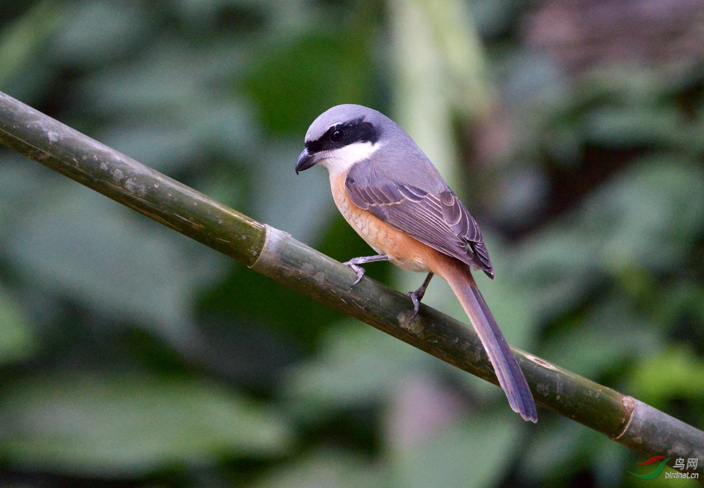 �ұ����� ӯ��.JPG