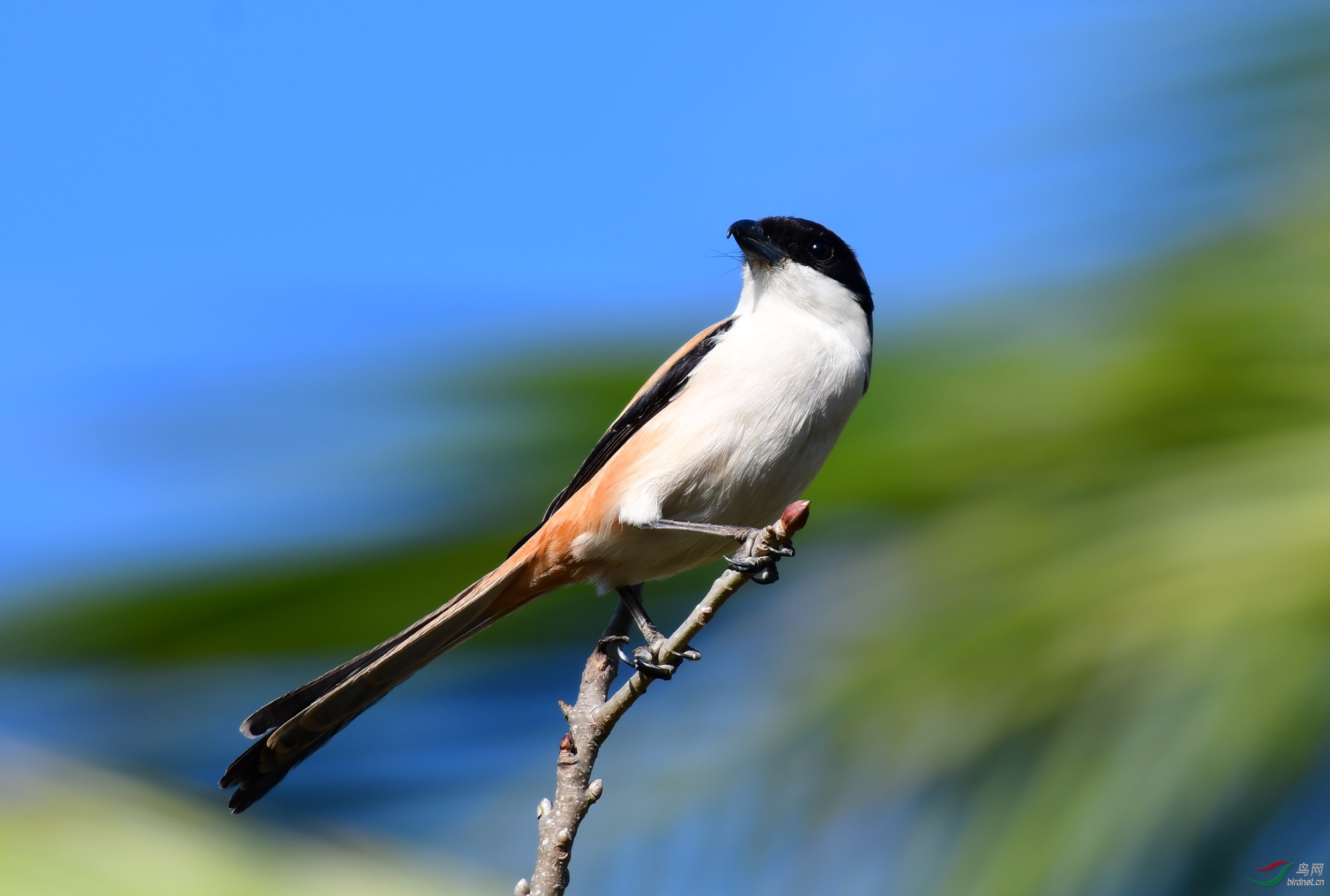 �ر����� ���ǰ��ع�԰.JPG