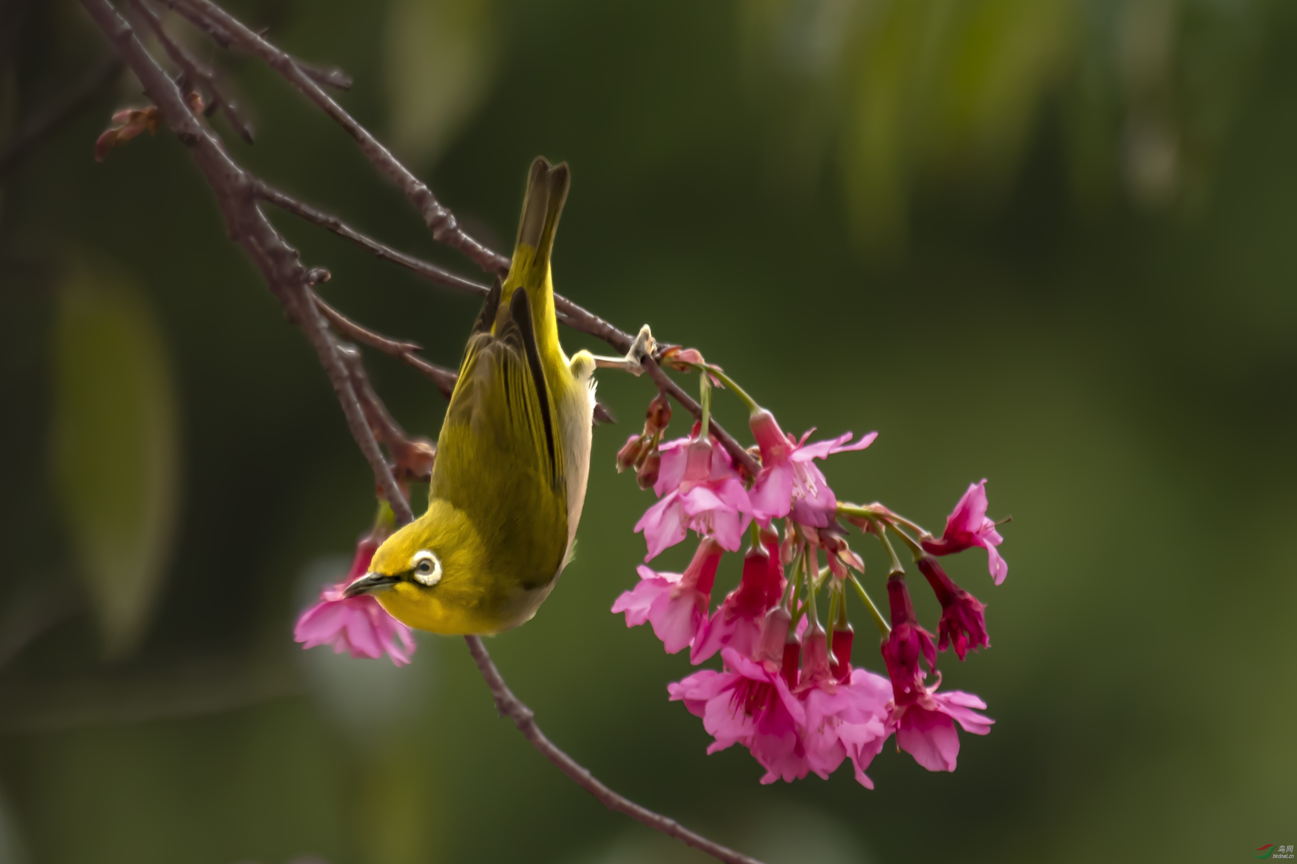 DSC_1073_1.jpg