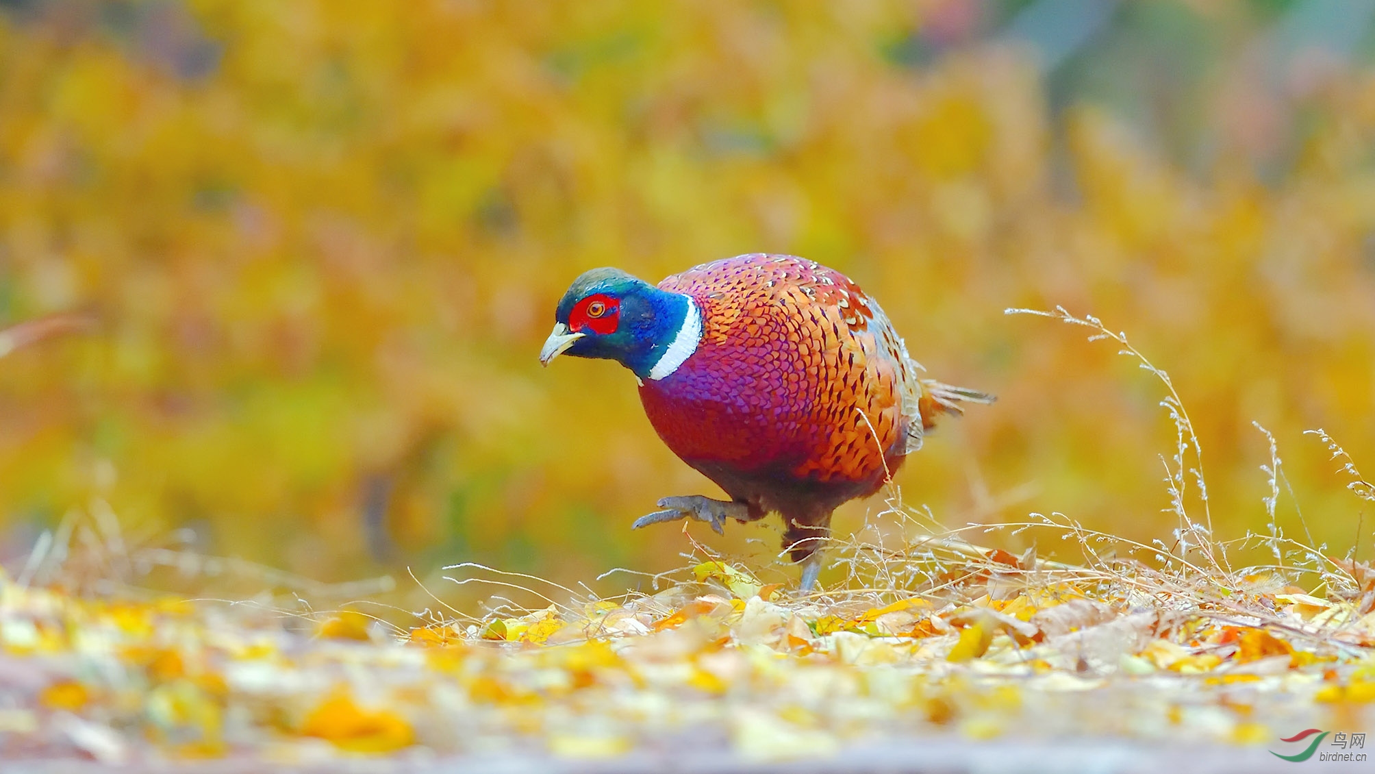 DSC_9436_����é® �ϴ�.jpg