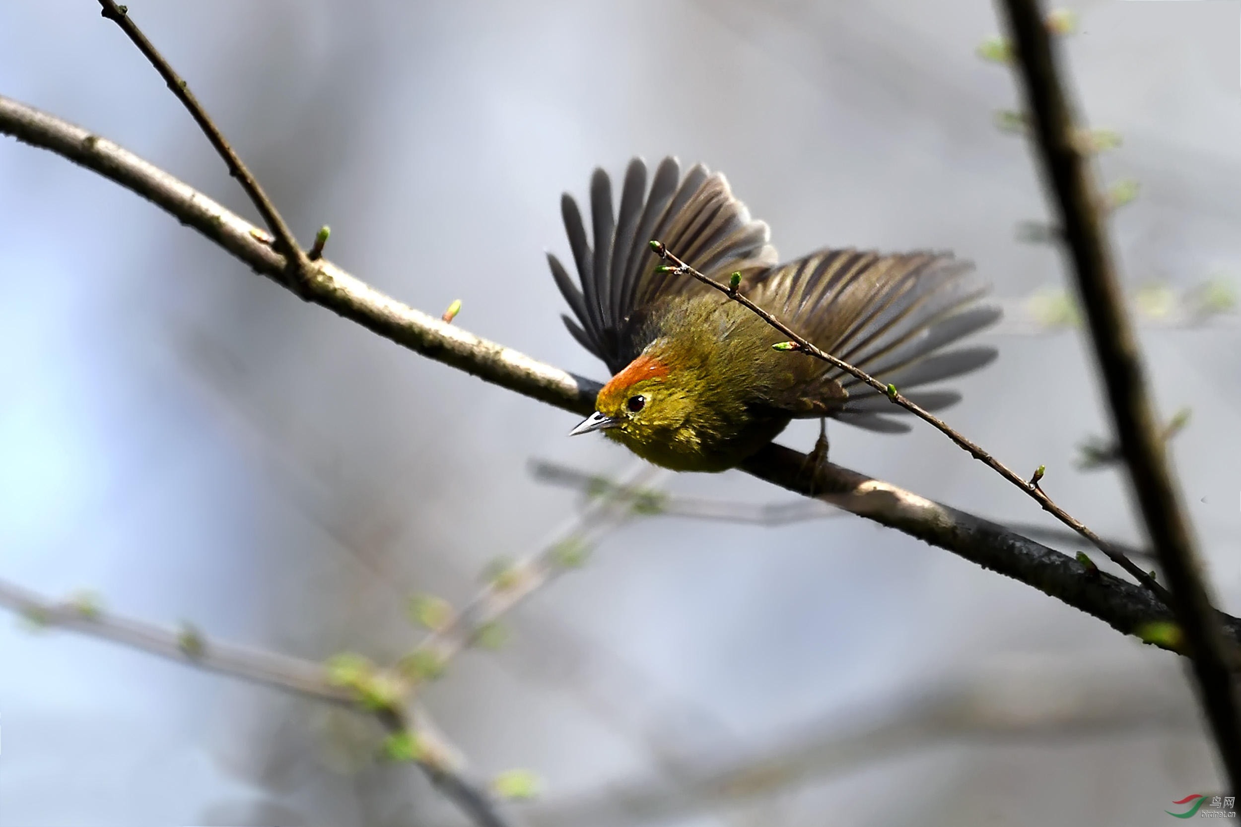 DSC_0673.jpg