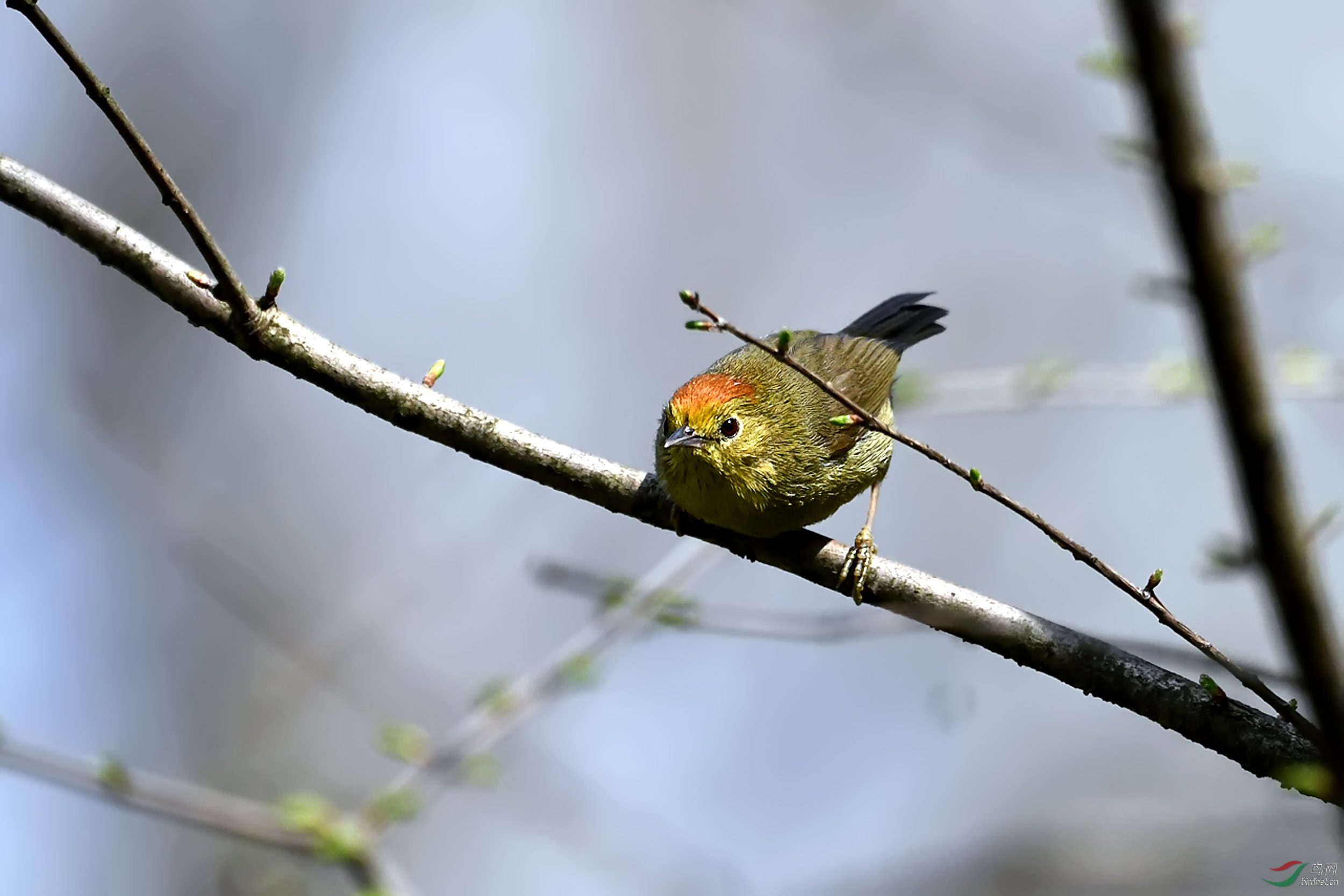 DSC_0671.jpg