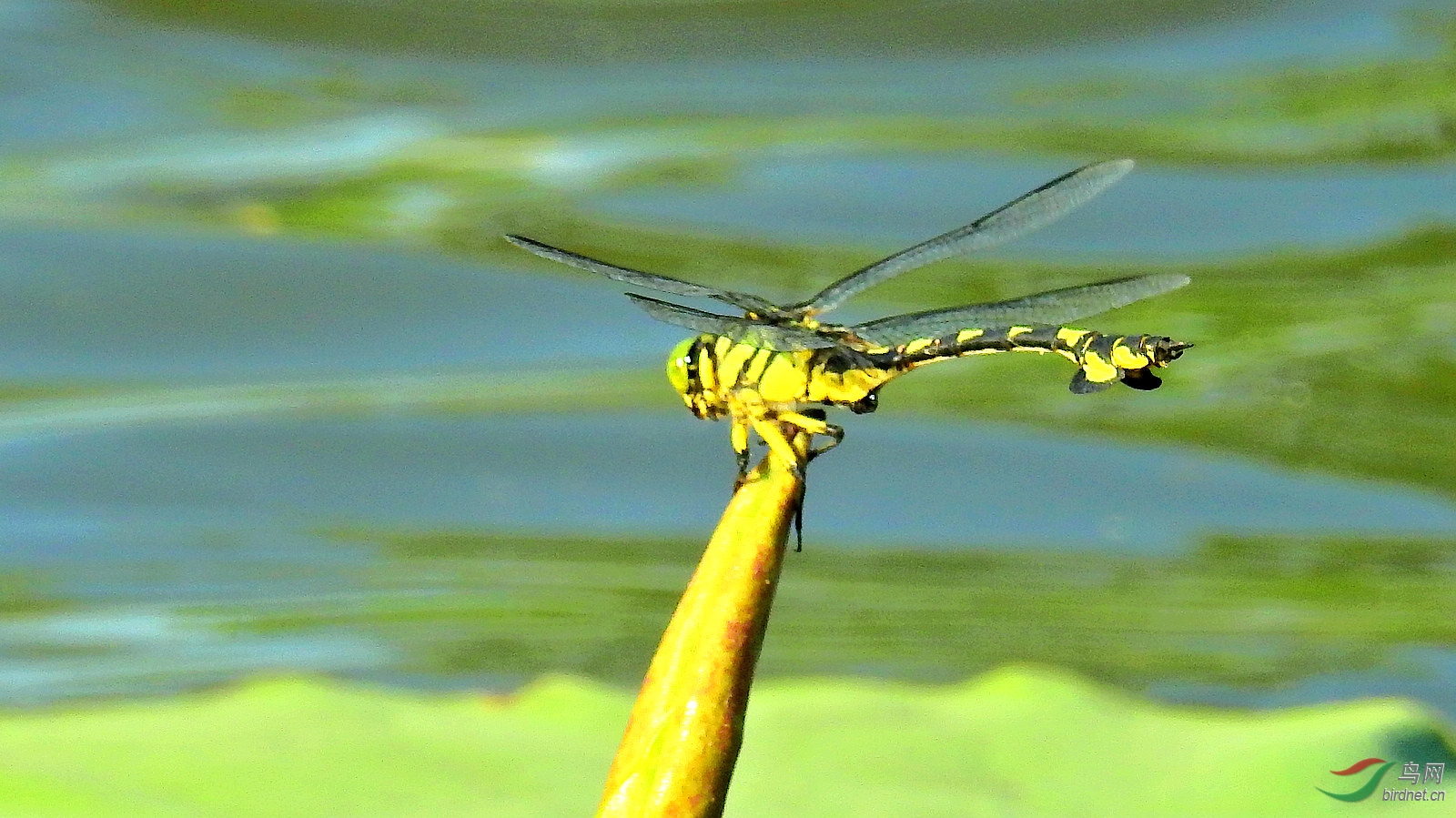 DSCN9289.JPG