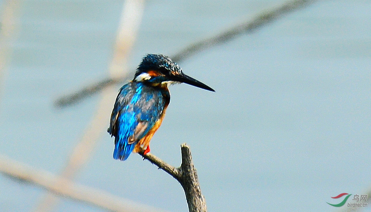 DSC_5891.JPG