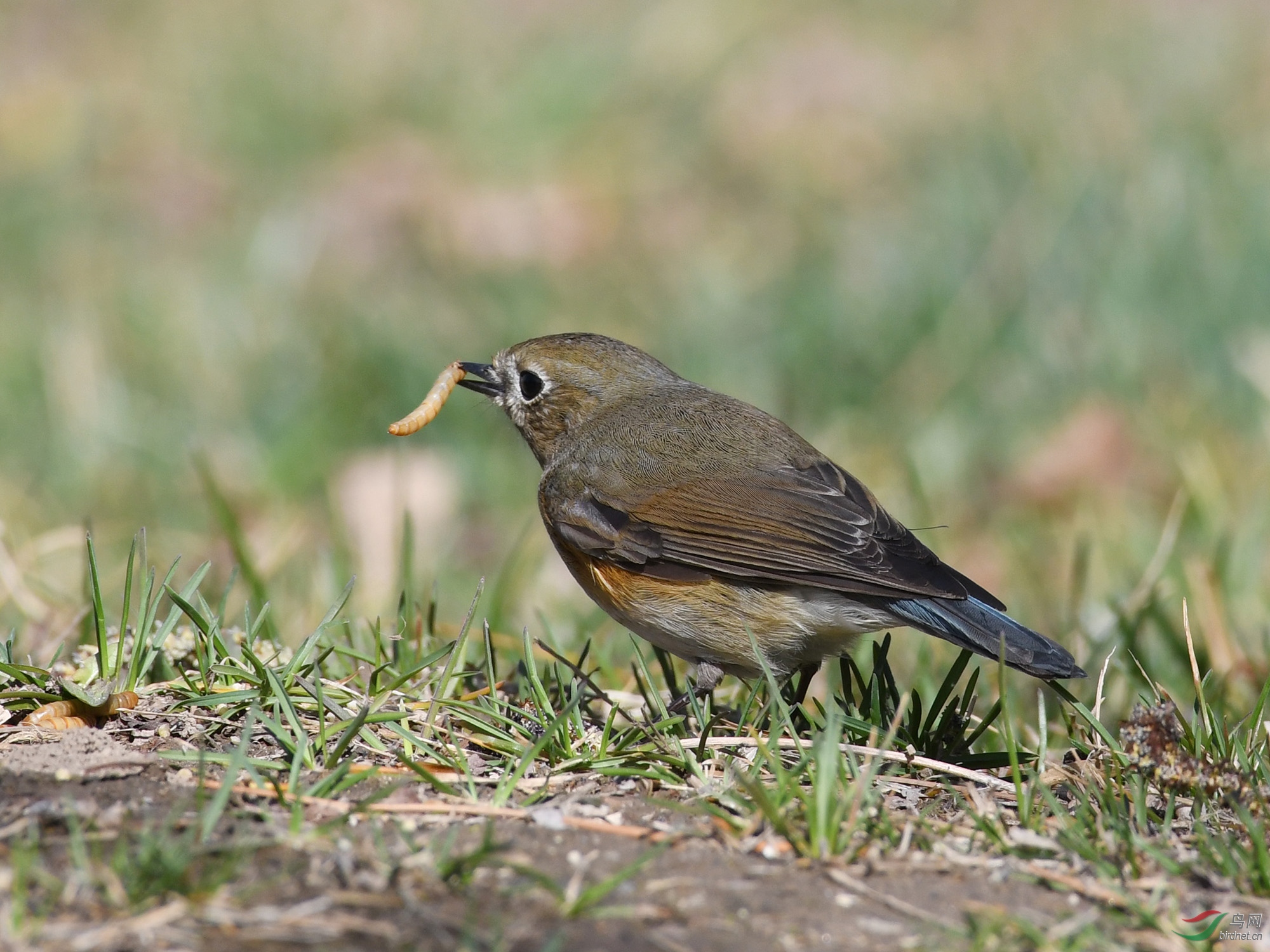 ������Ӱ 1740����.jpg