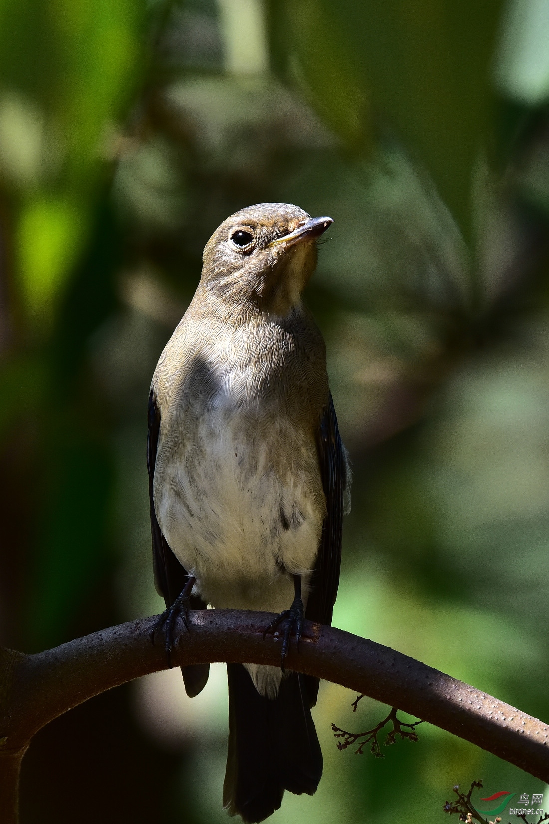 DSC_0122.JPG