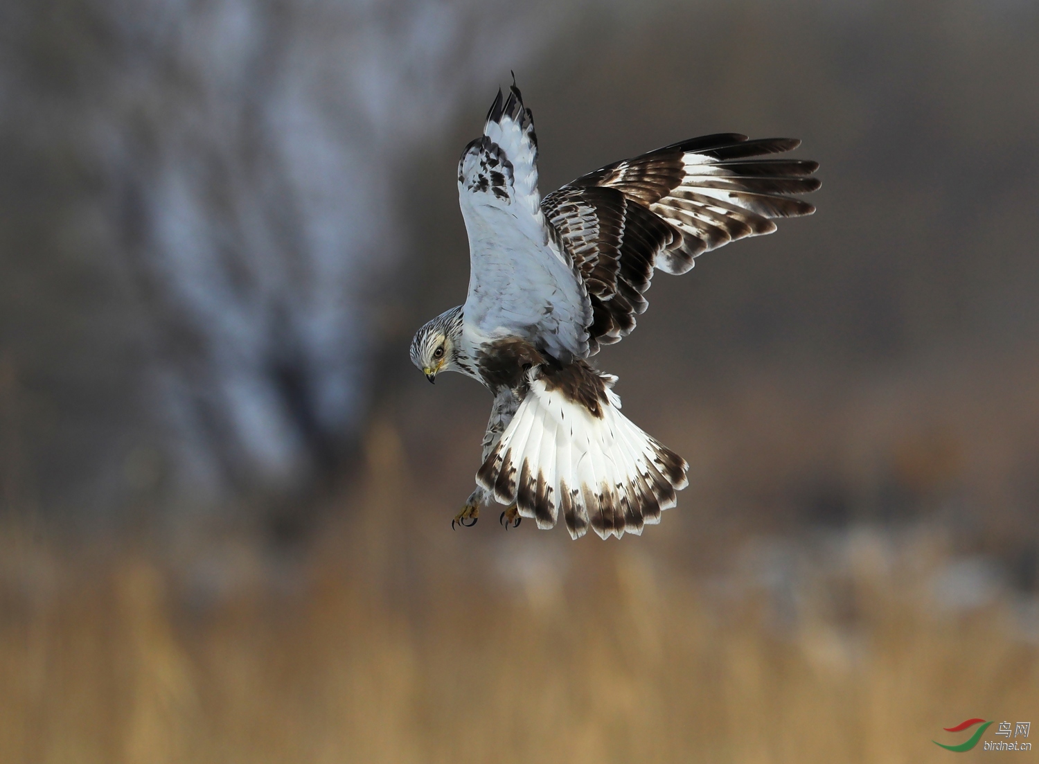 ��Ȼ����