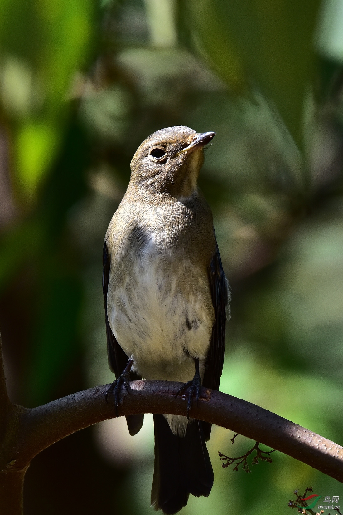 DSC_0123.JPG