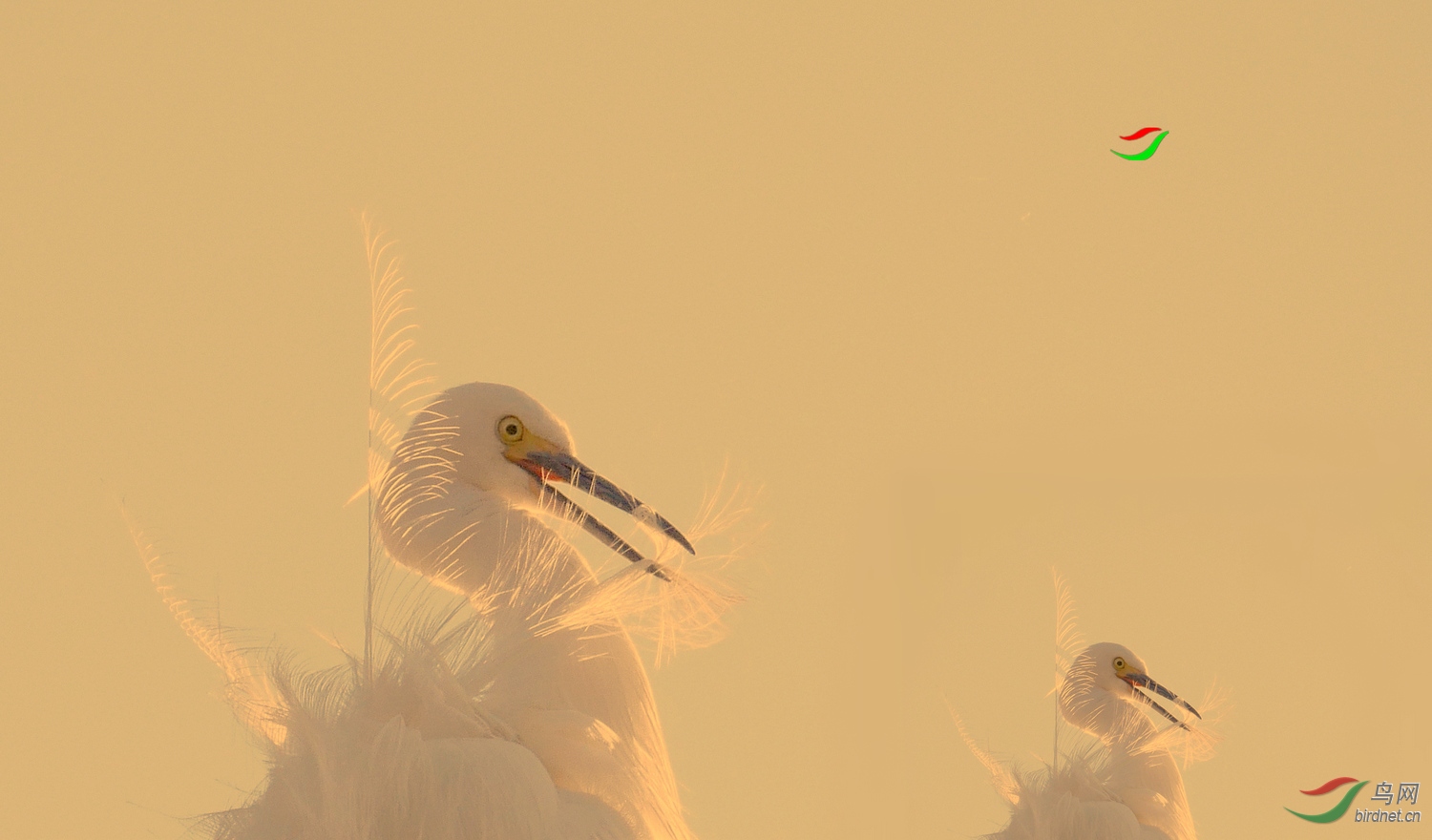 202019.����һ�괺�ô�