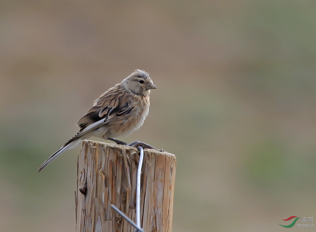 ������2010��8�·ݣ������������ĵ�