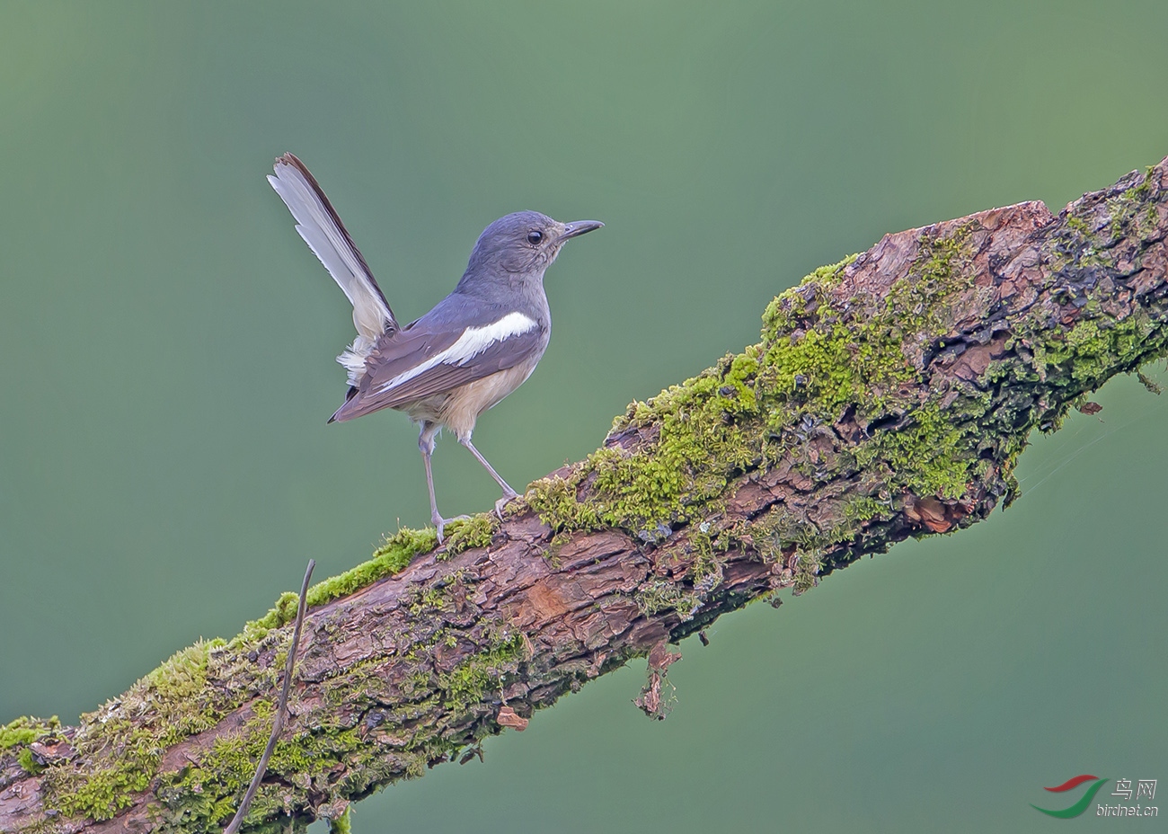 2017��6���ڽ�����Դ�ĵ�